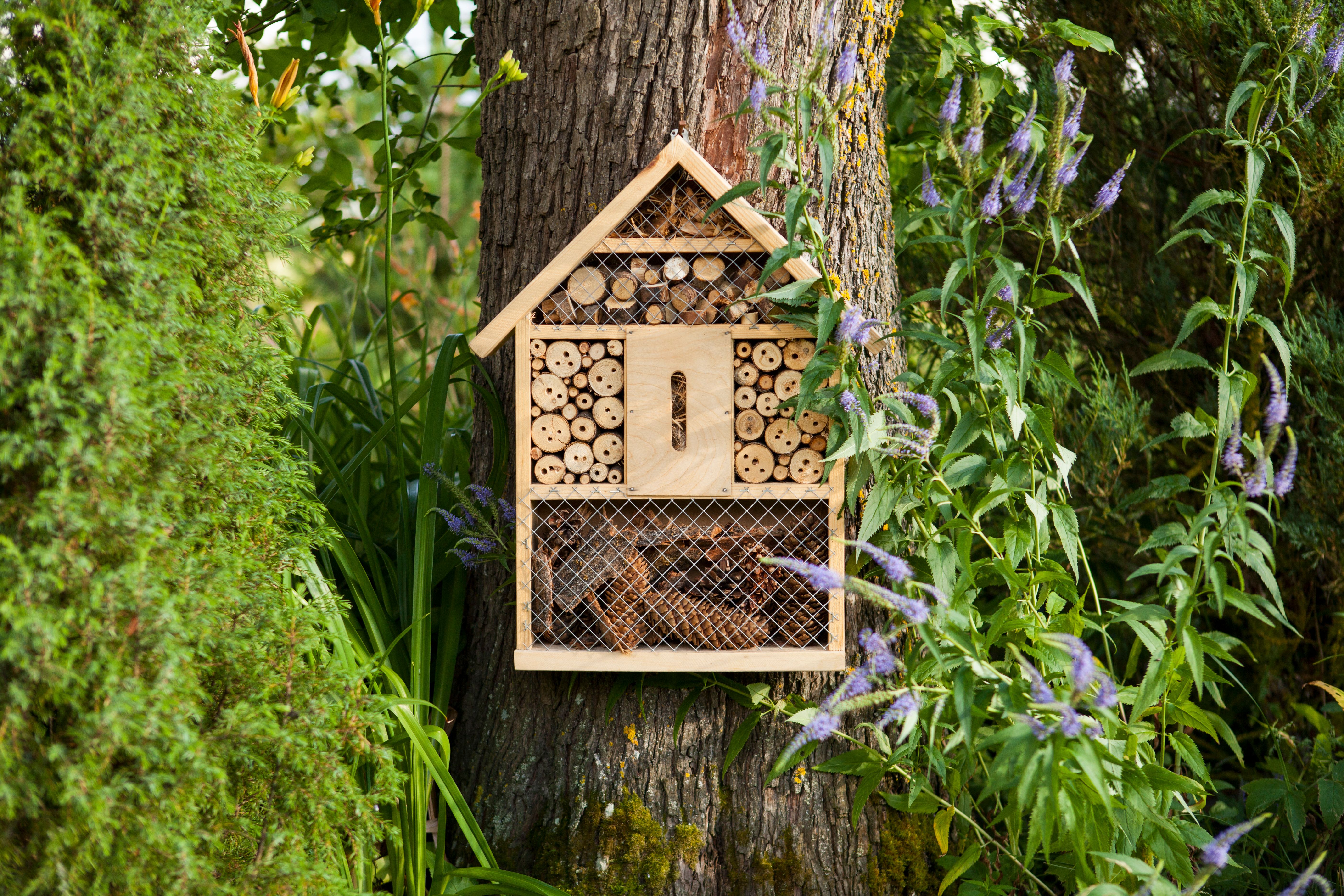 bee hotel