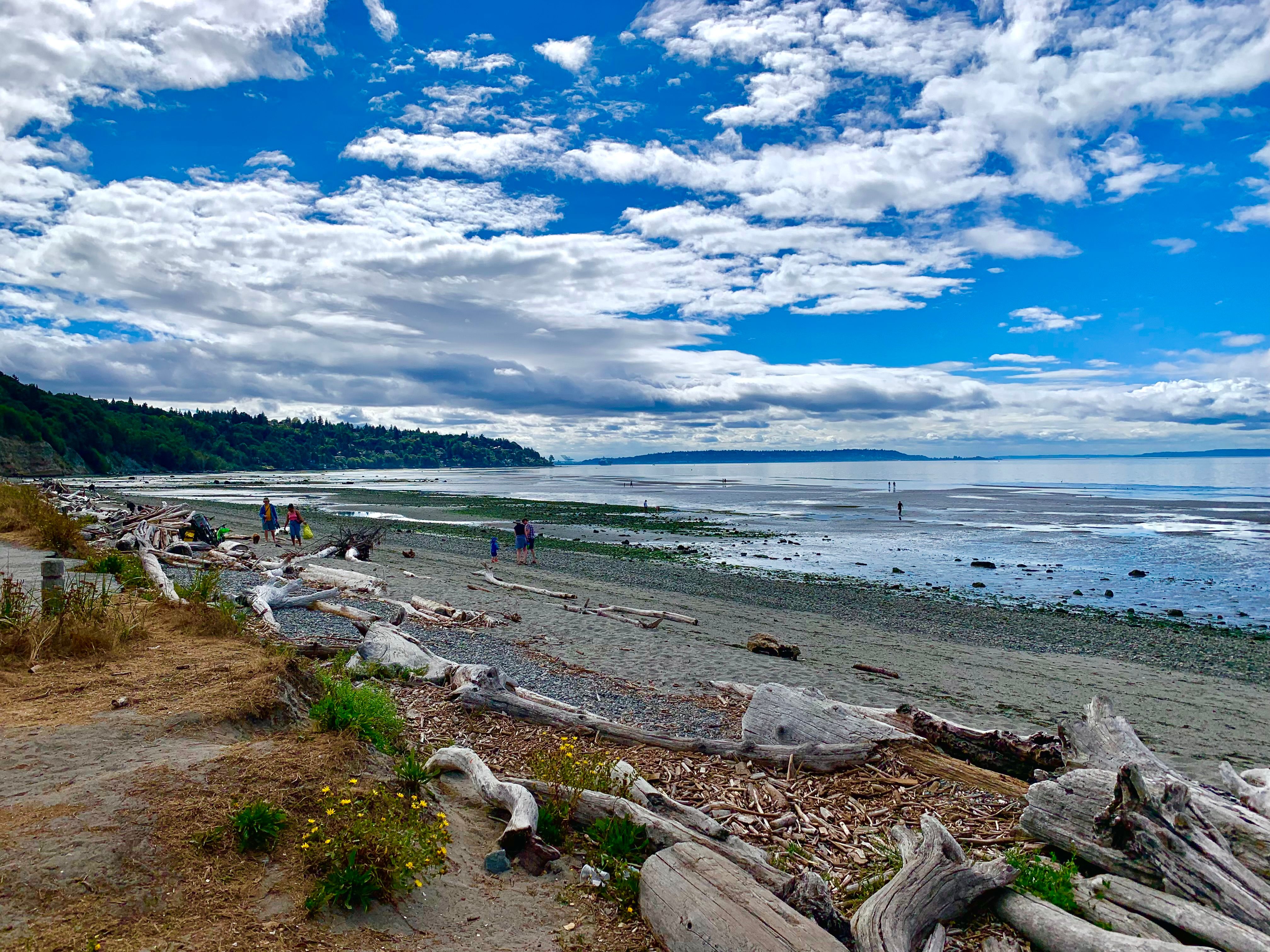 west seattle beach