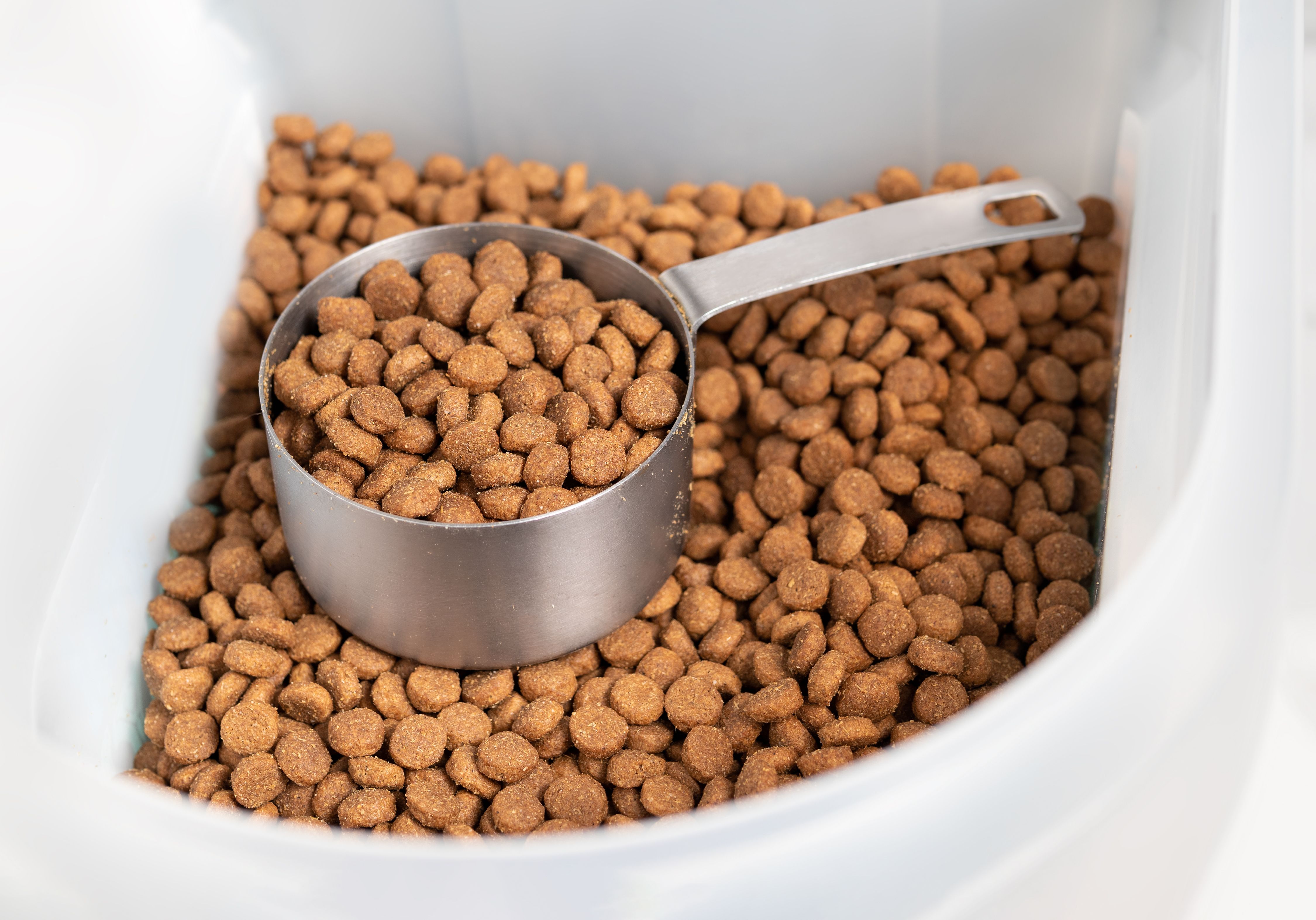 dog food supplements