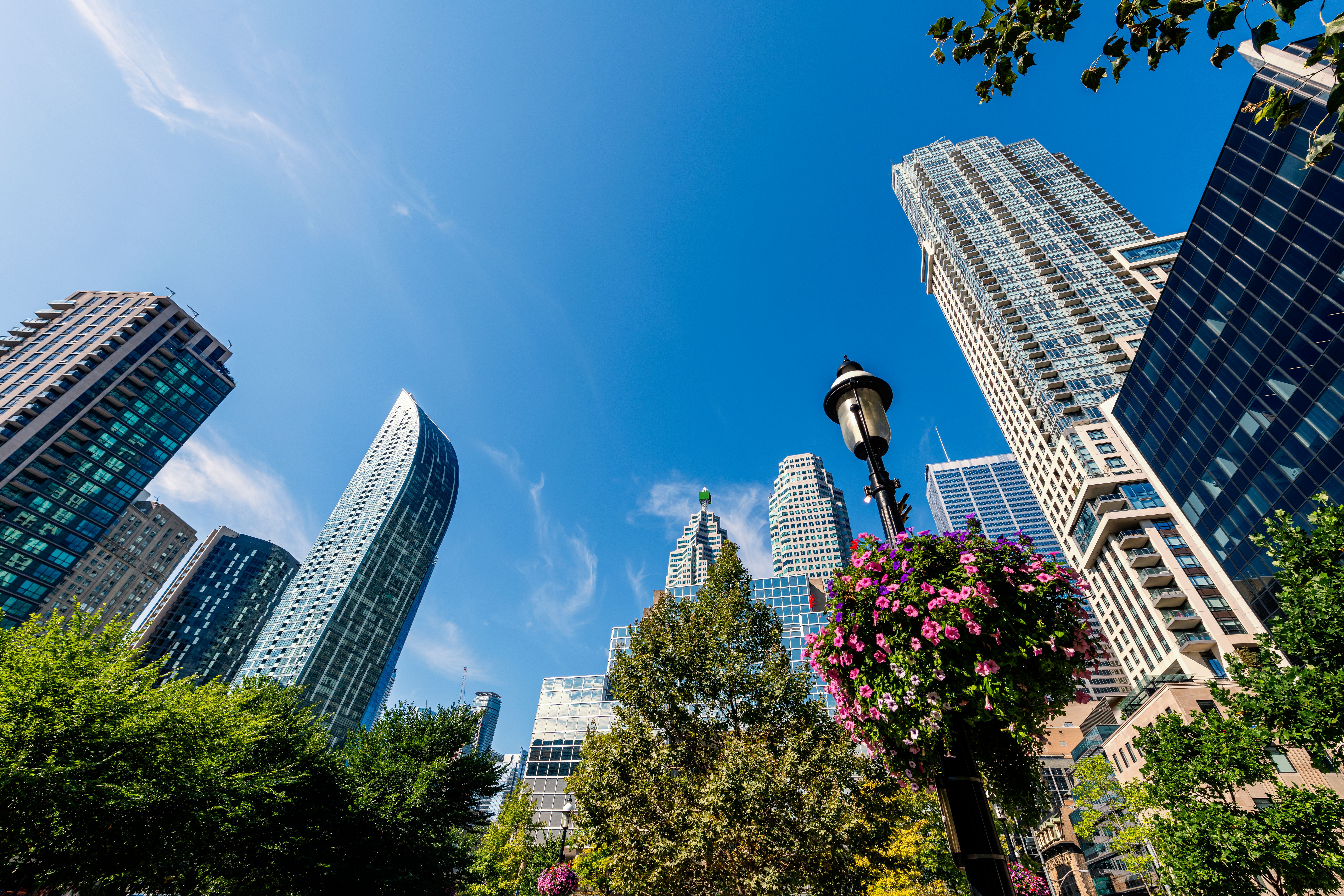 city skyline