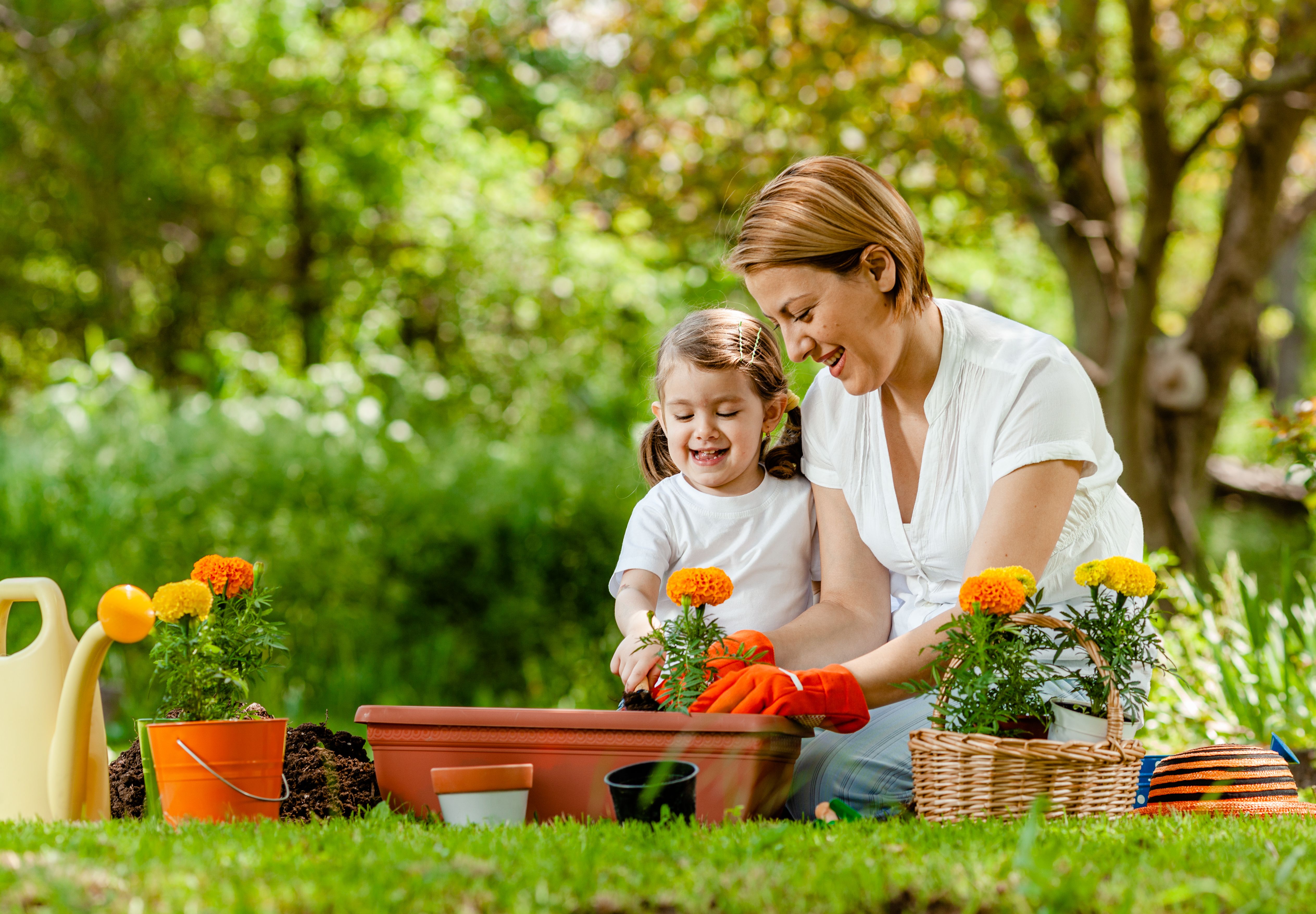 planting flowers