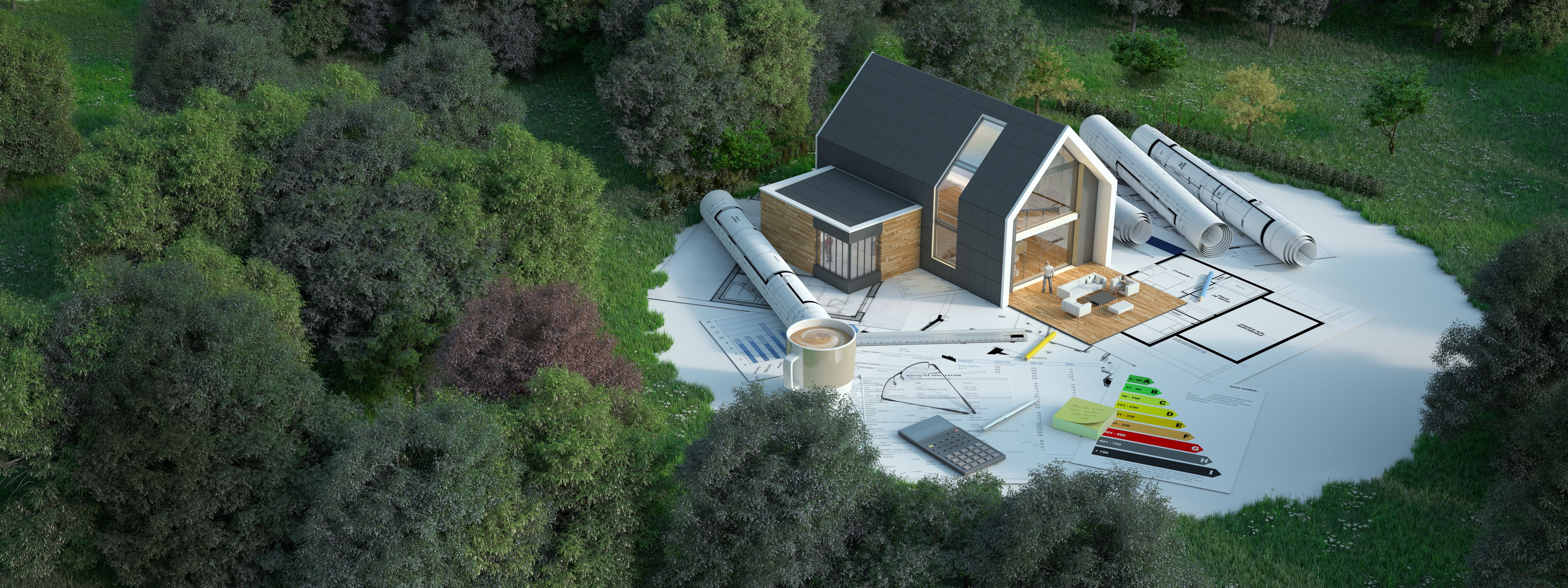 energy efficient landscape