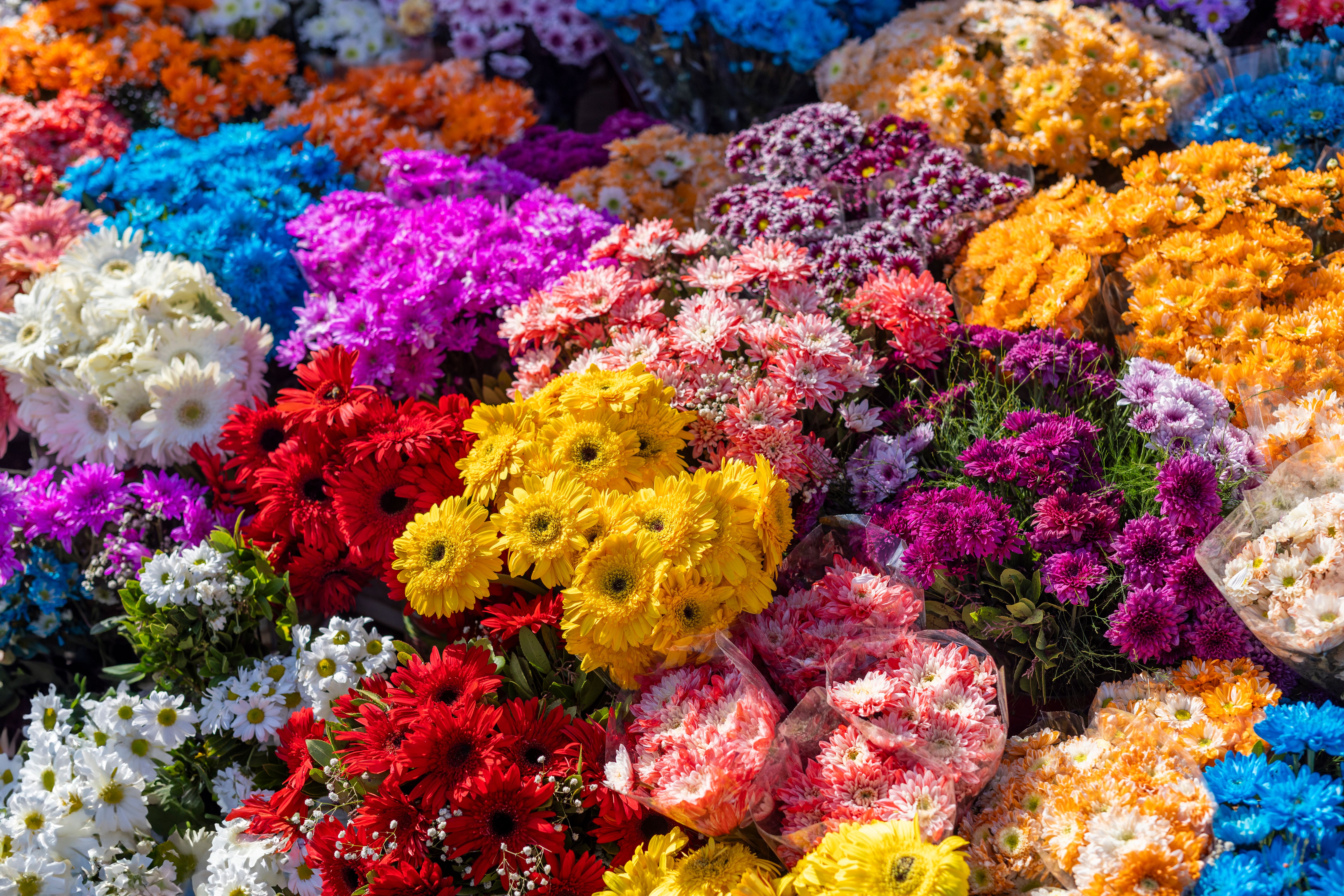 local flower market