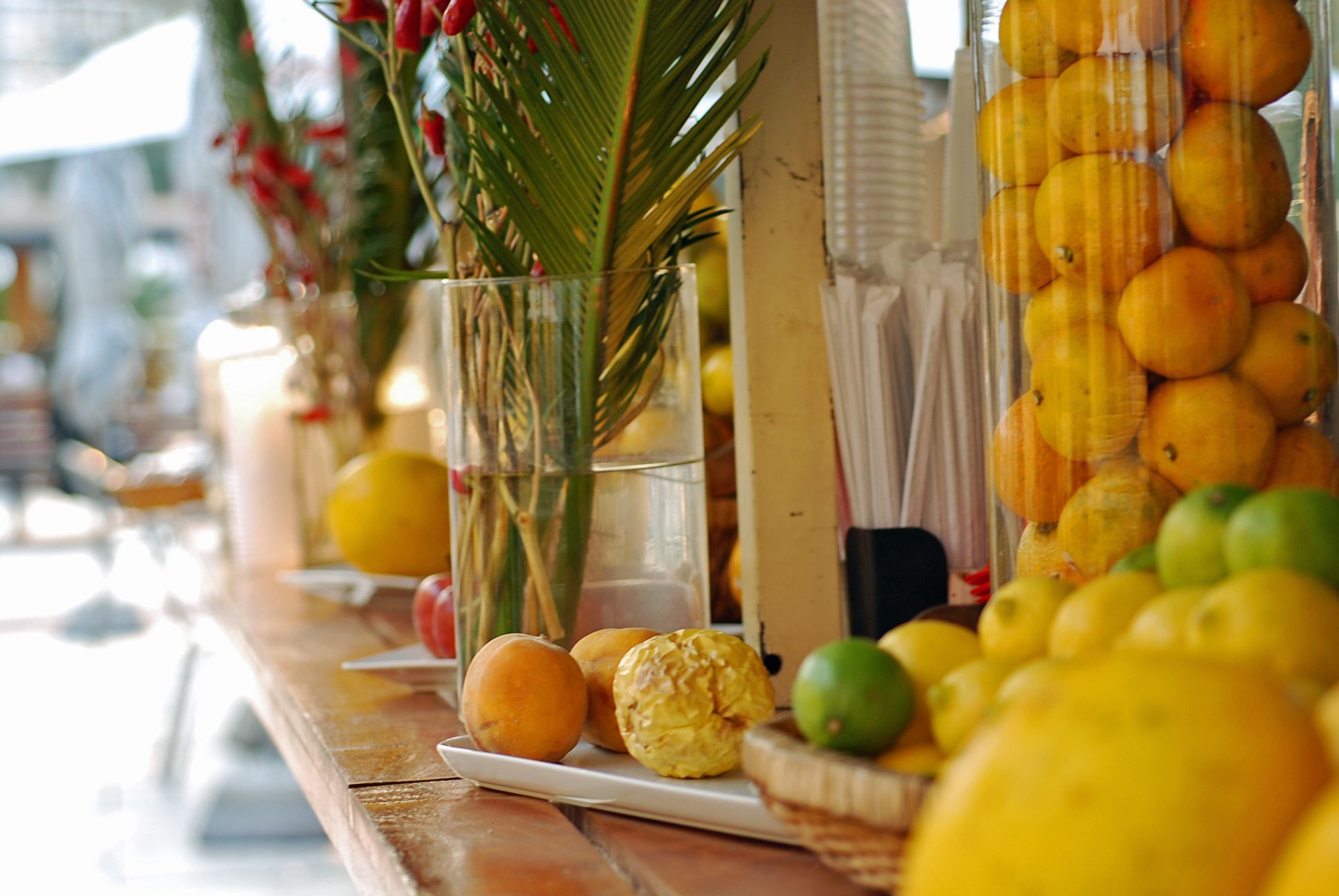 organic catering Miami