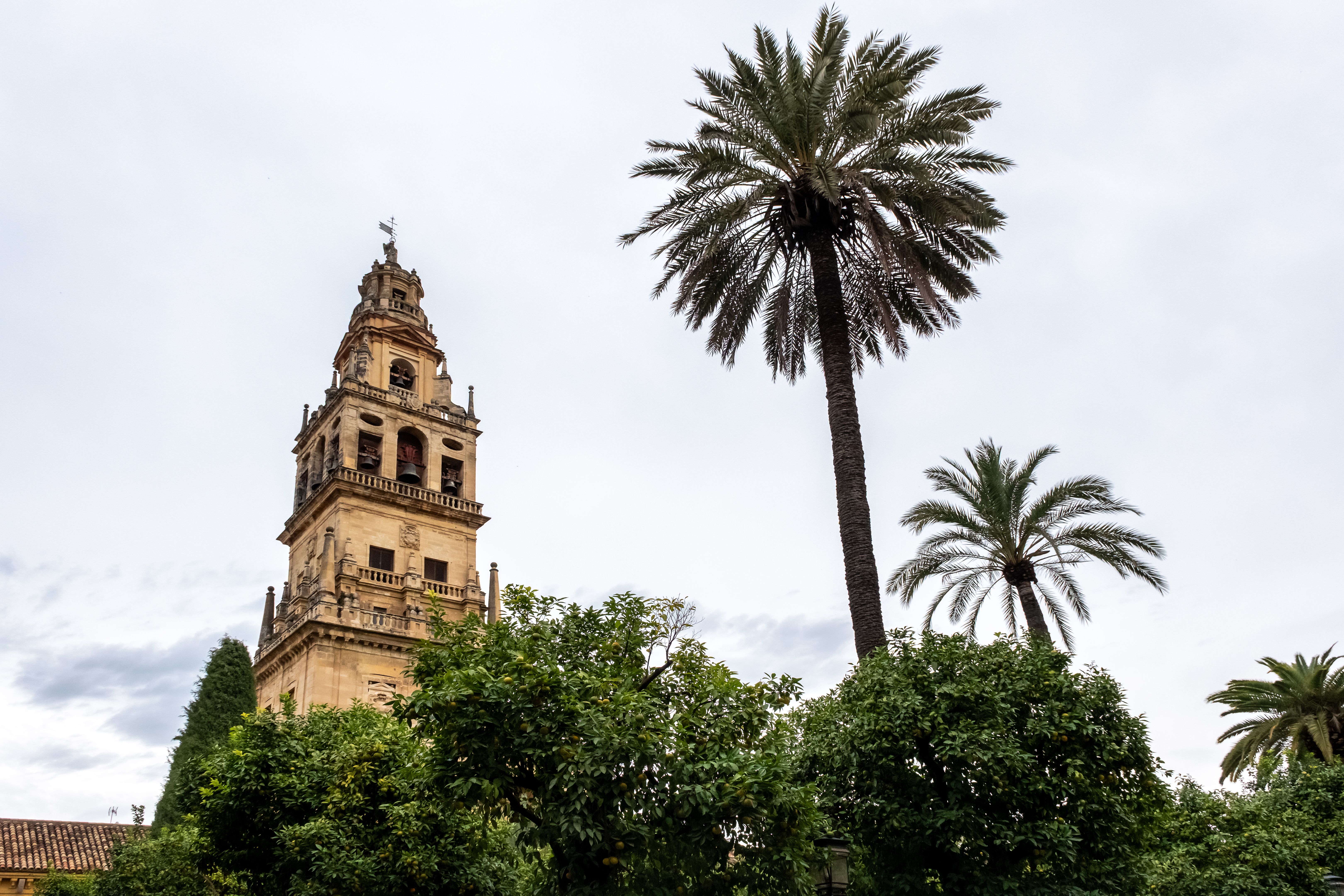 cordova location photography