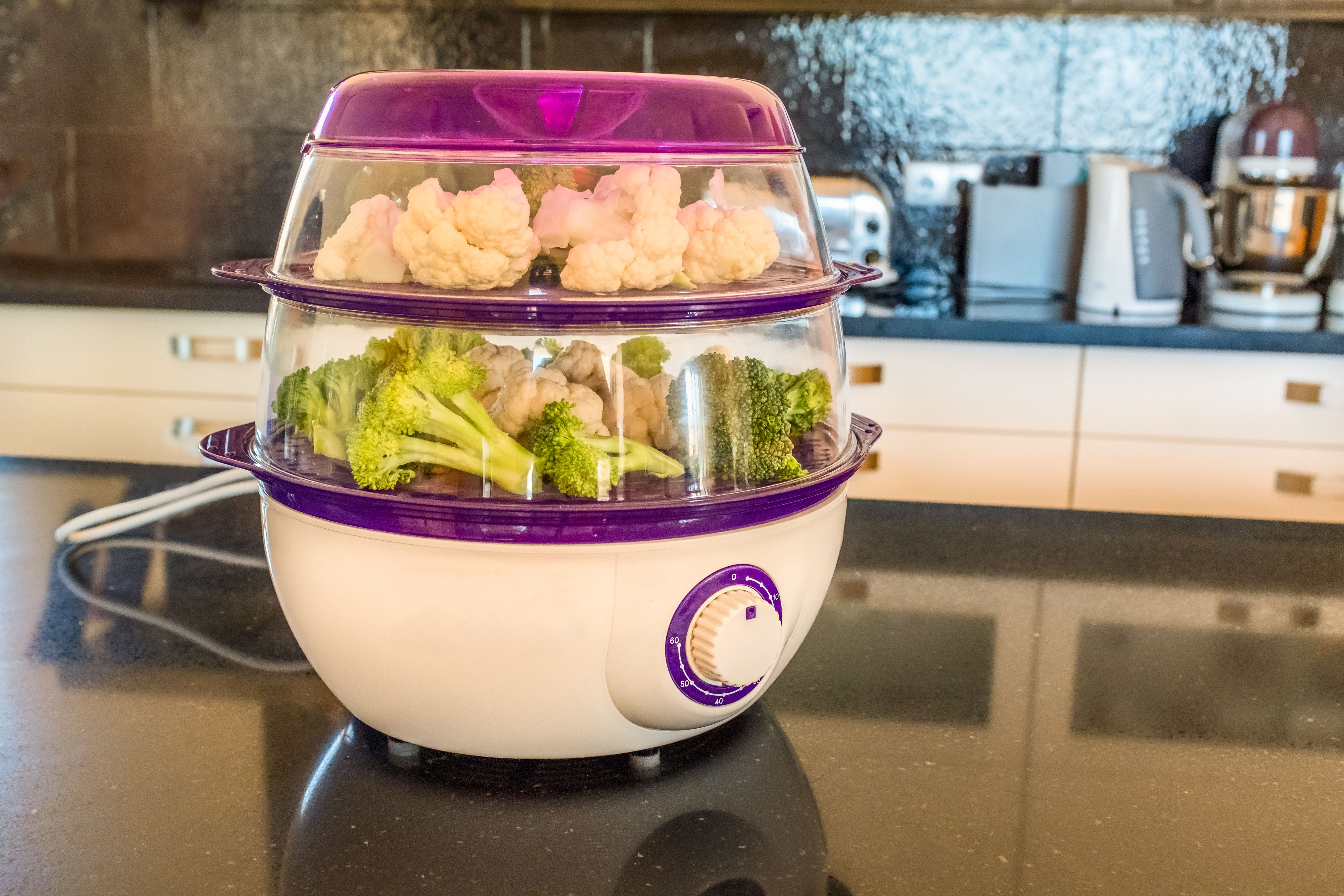 electric steamer