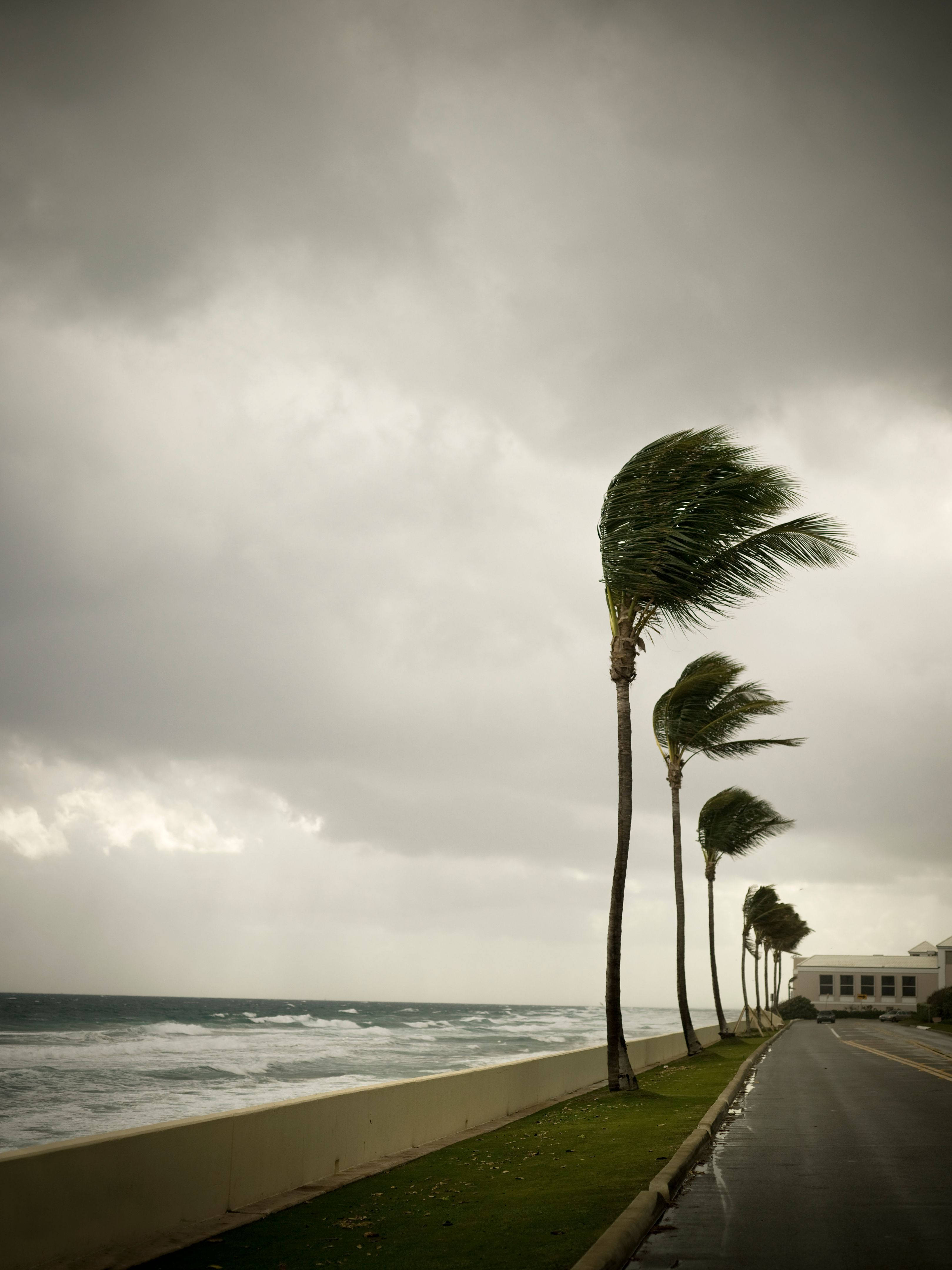 miami storm