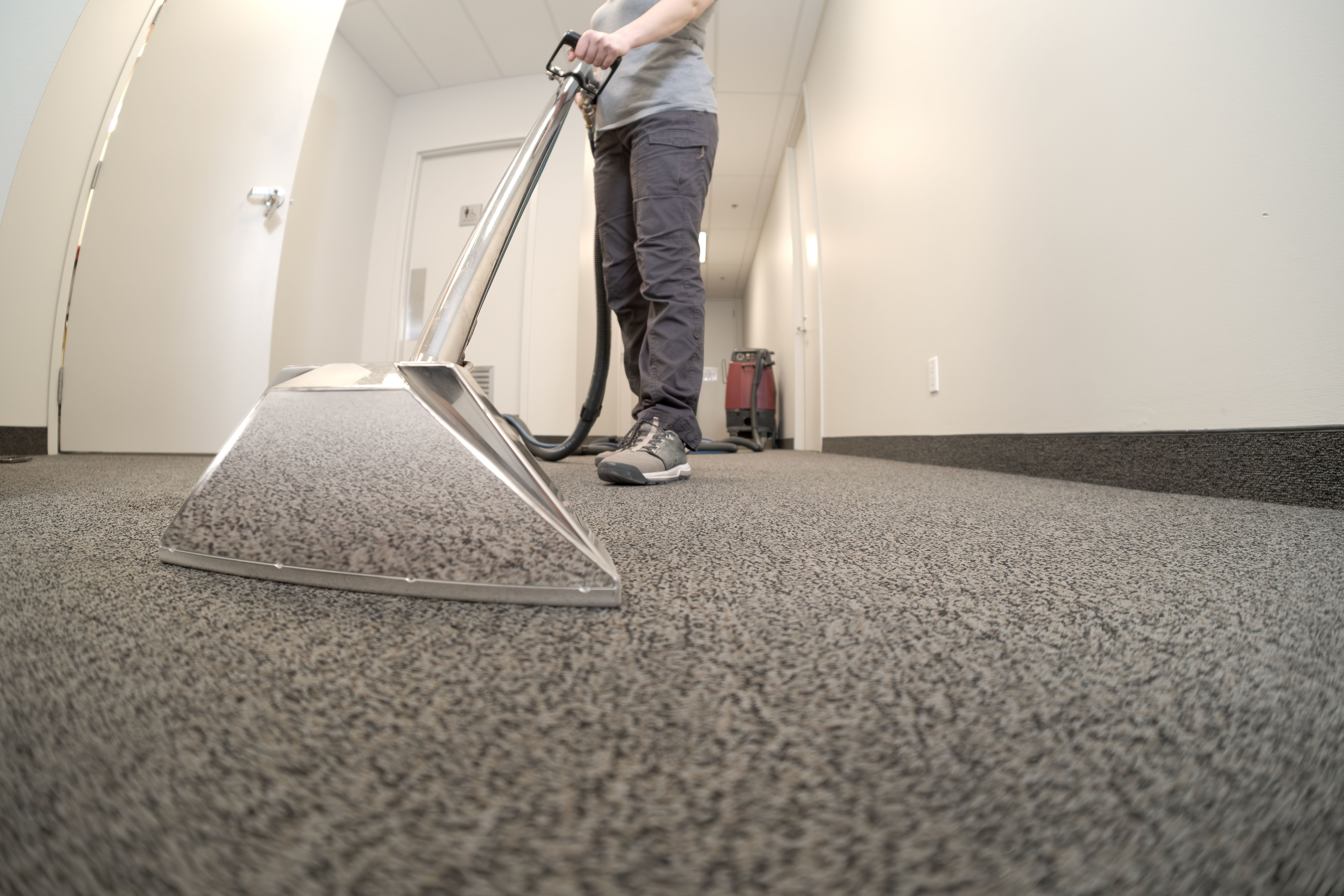 clean carpets