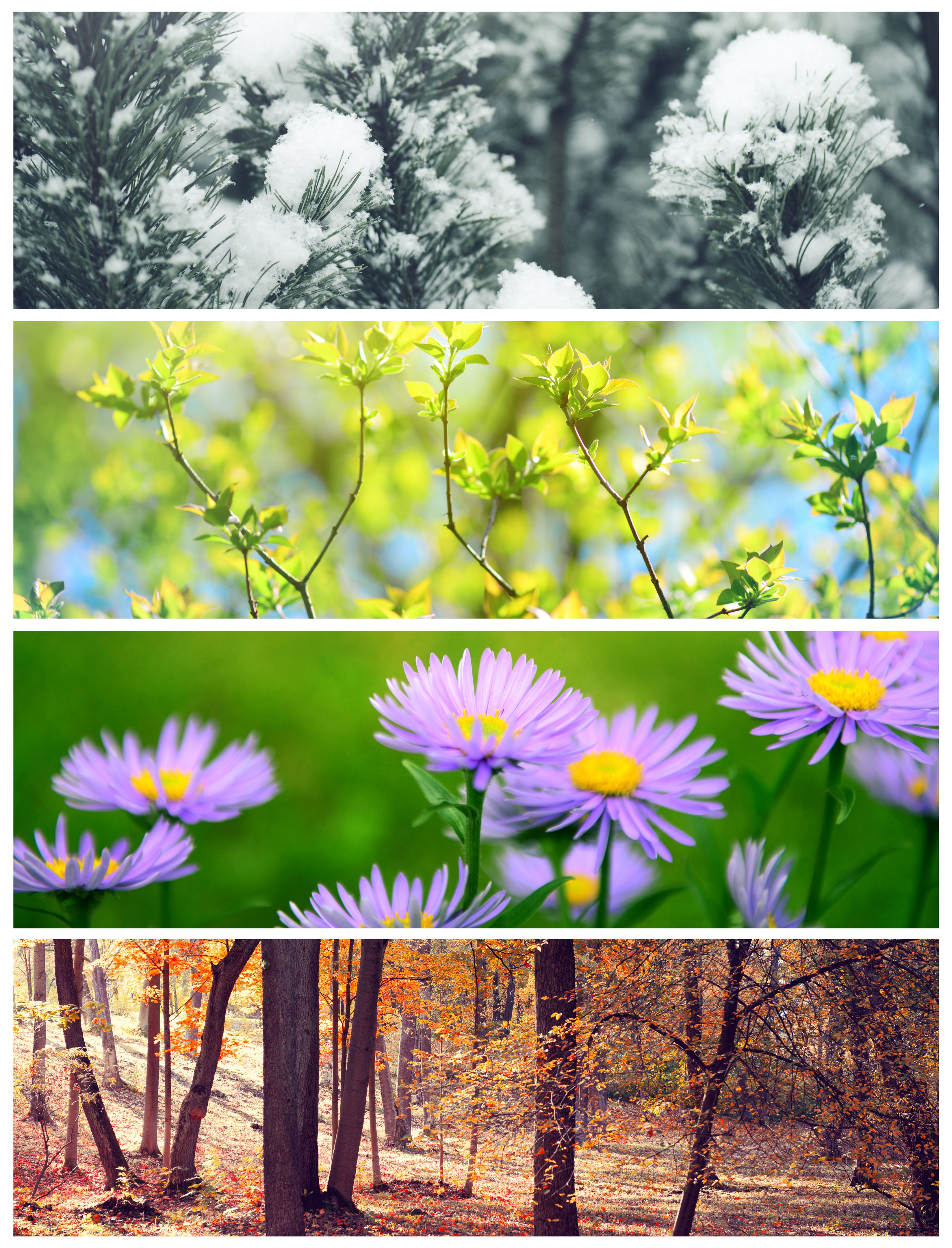 seasonal weather changes