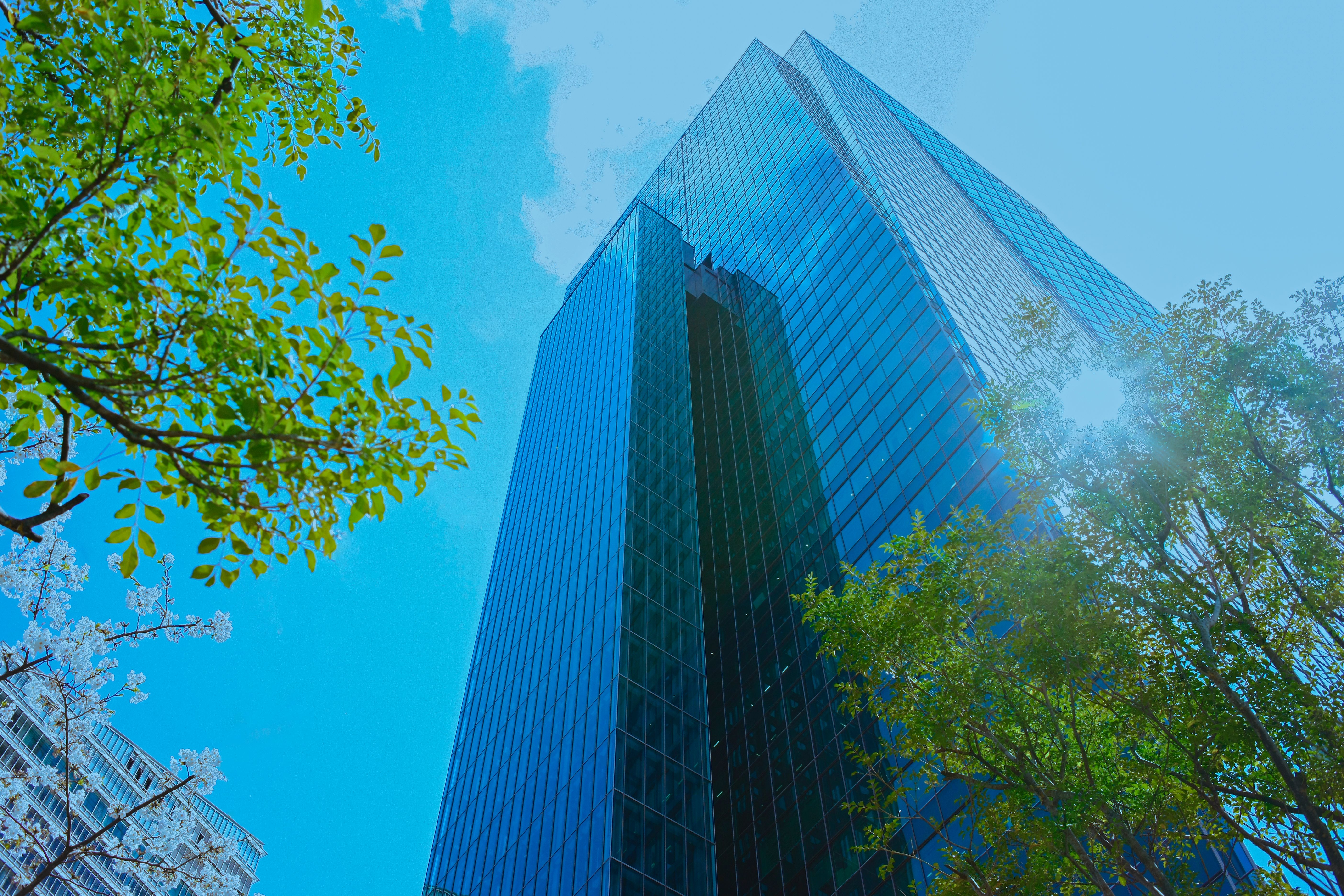 sustainability recruitment