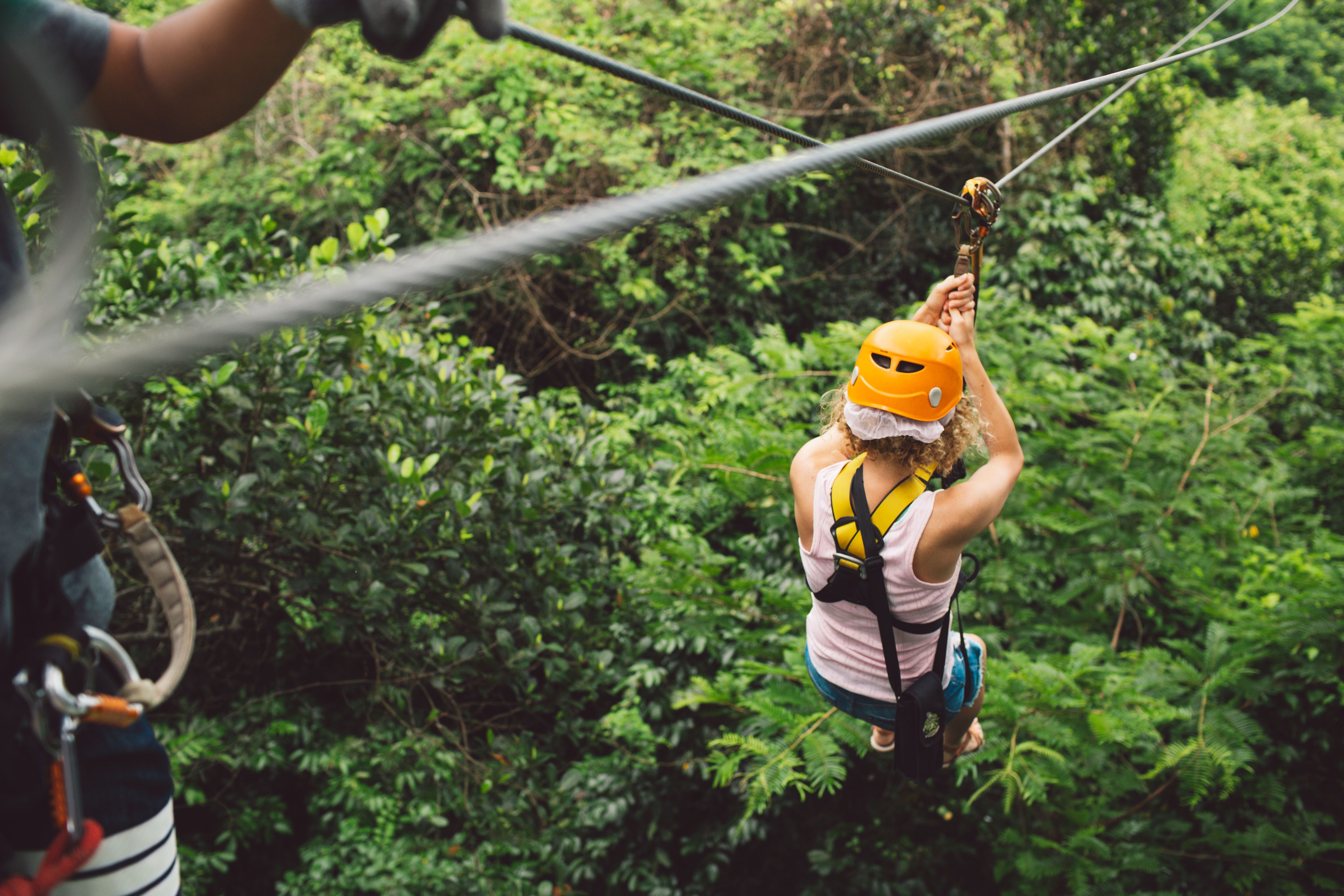 ziplining forest