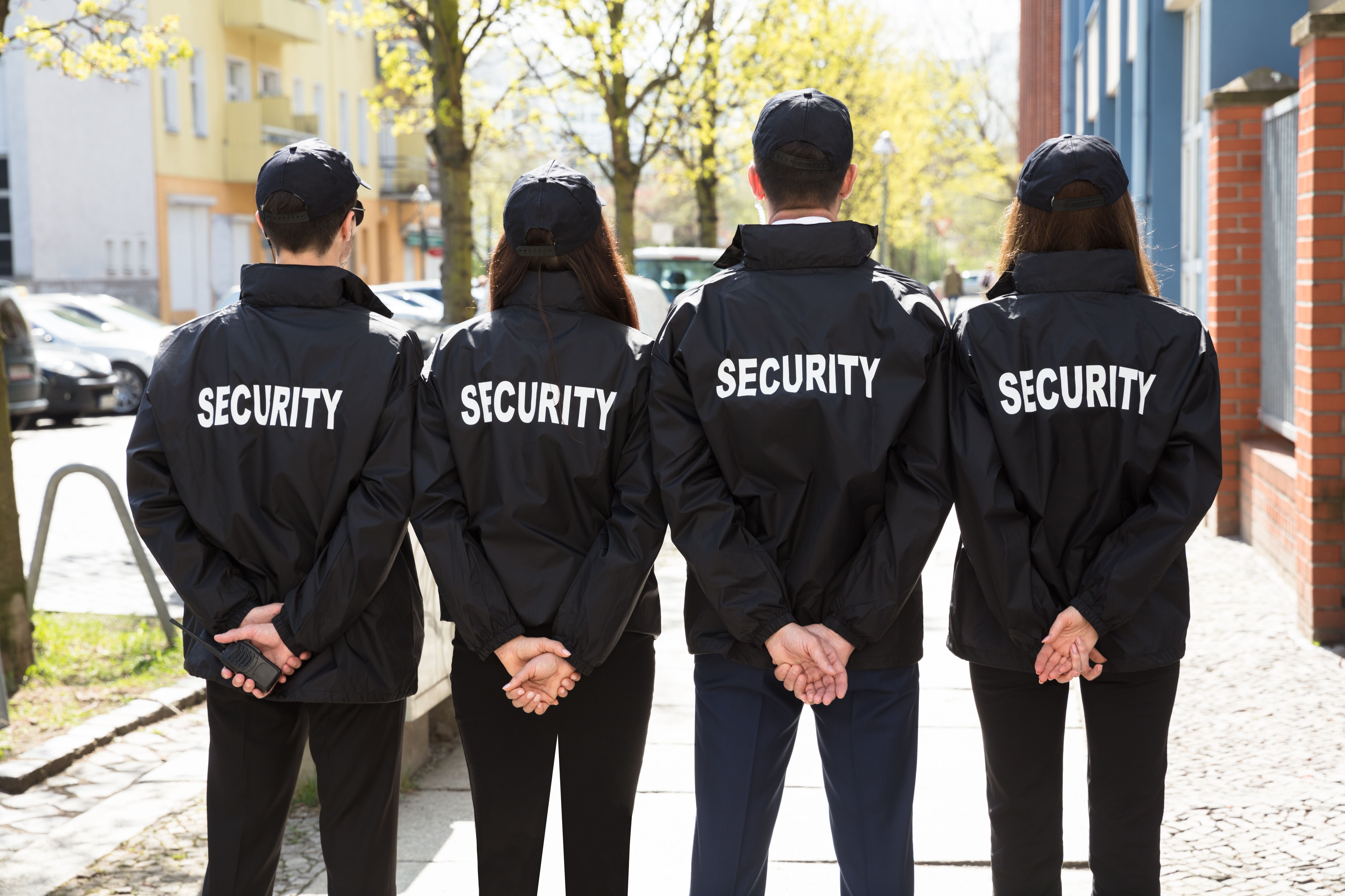 Rear View Of Security Guards Standing In A Row