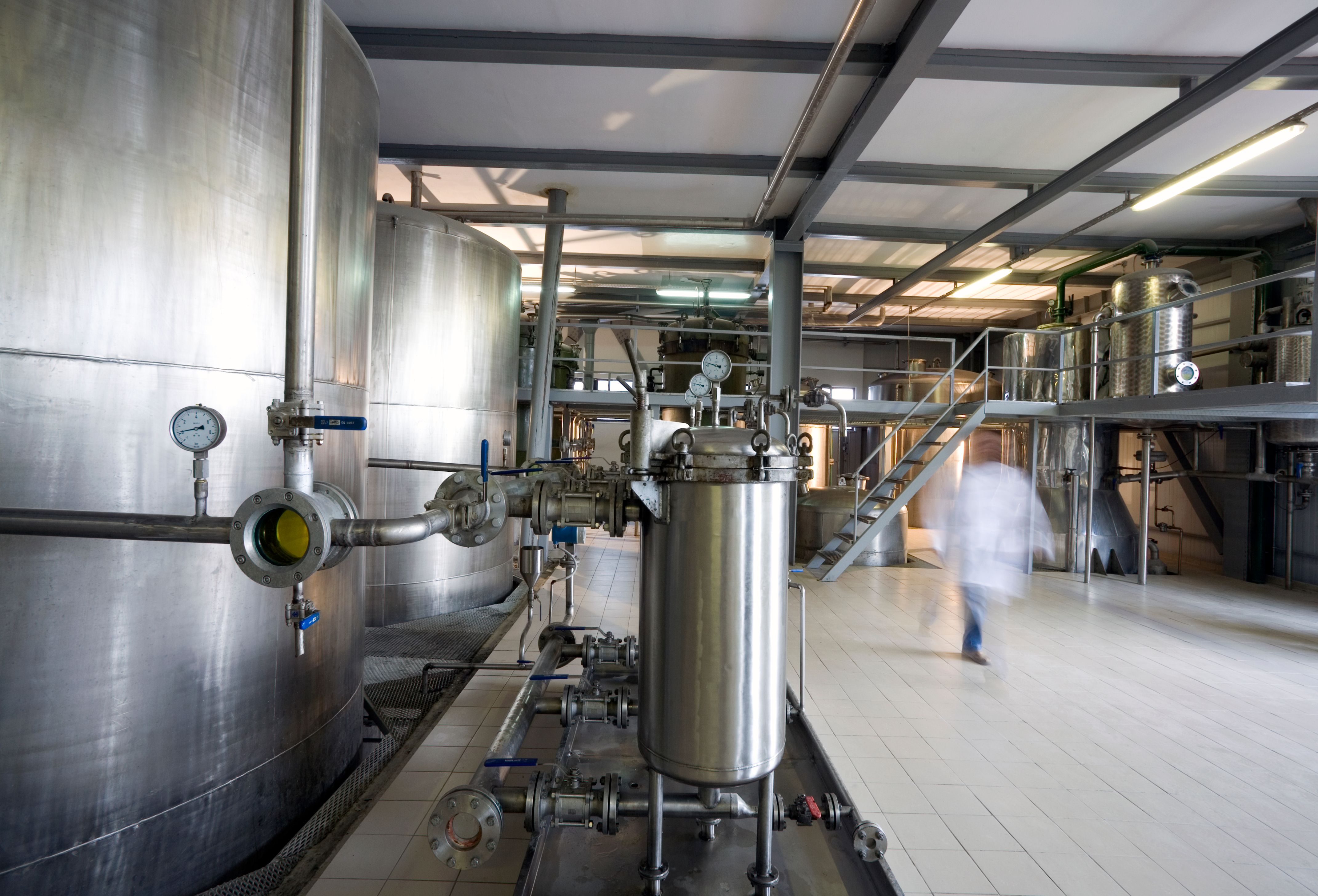 modern olive oil production