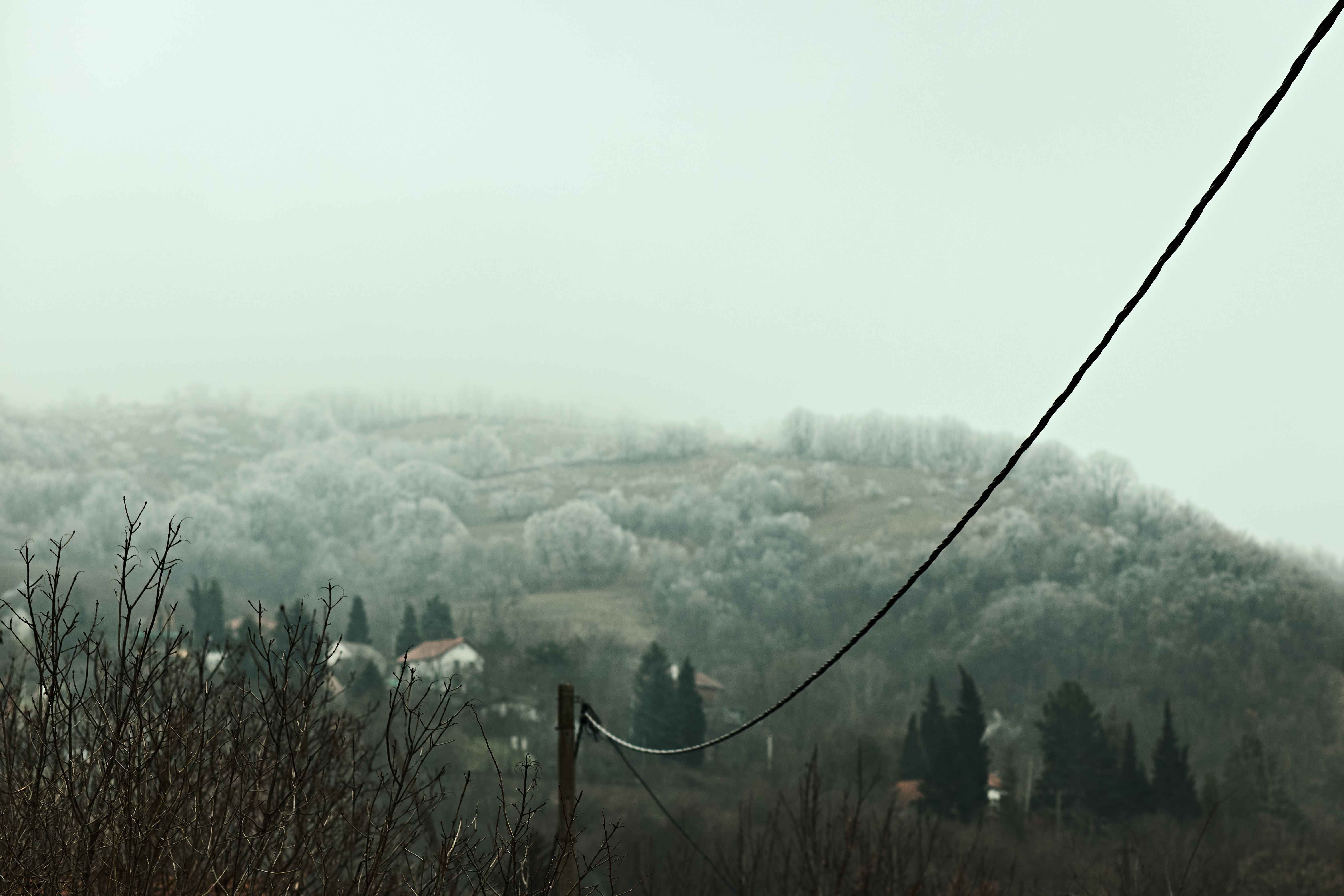 serbian digital landscape