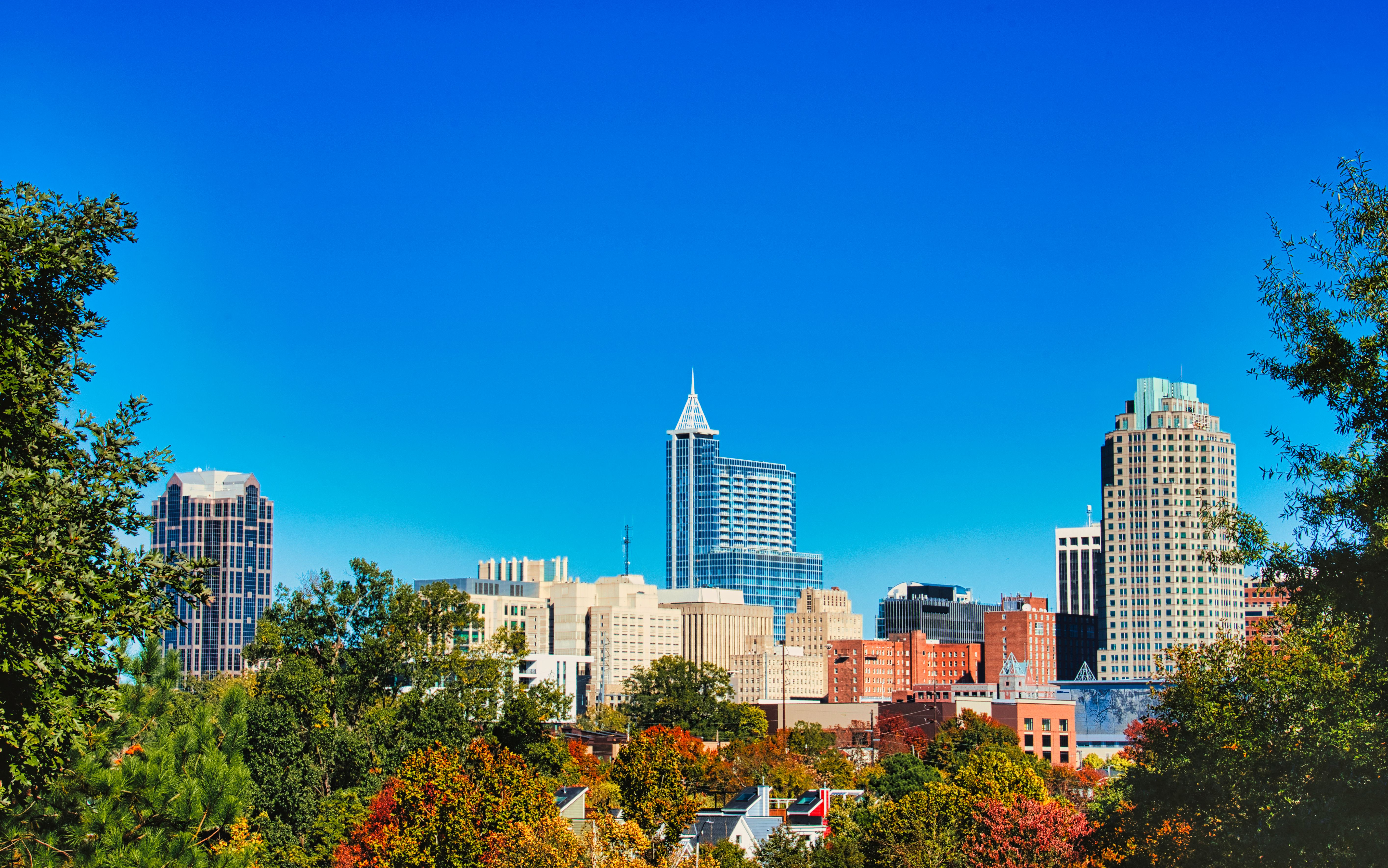fall foliage raleigh
