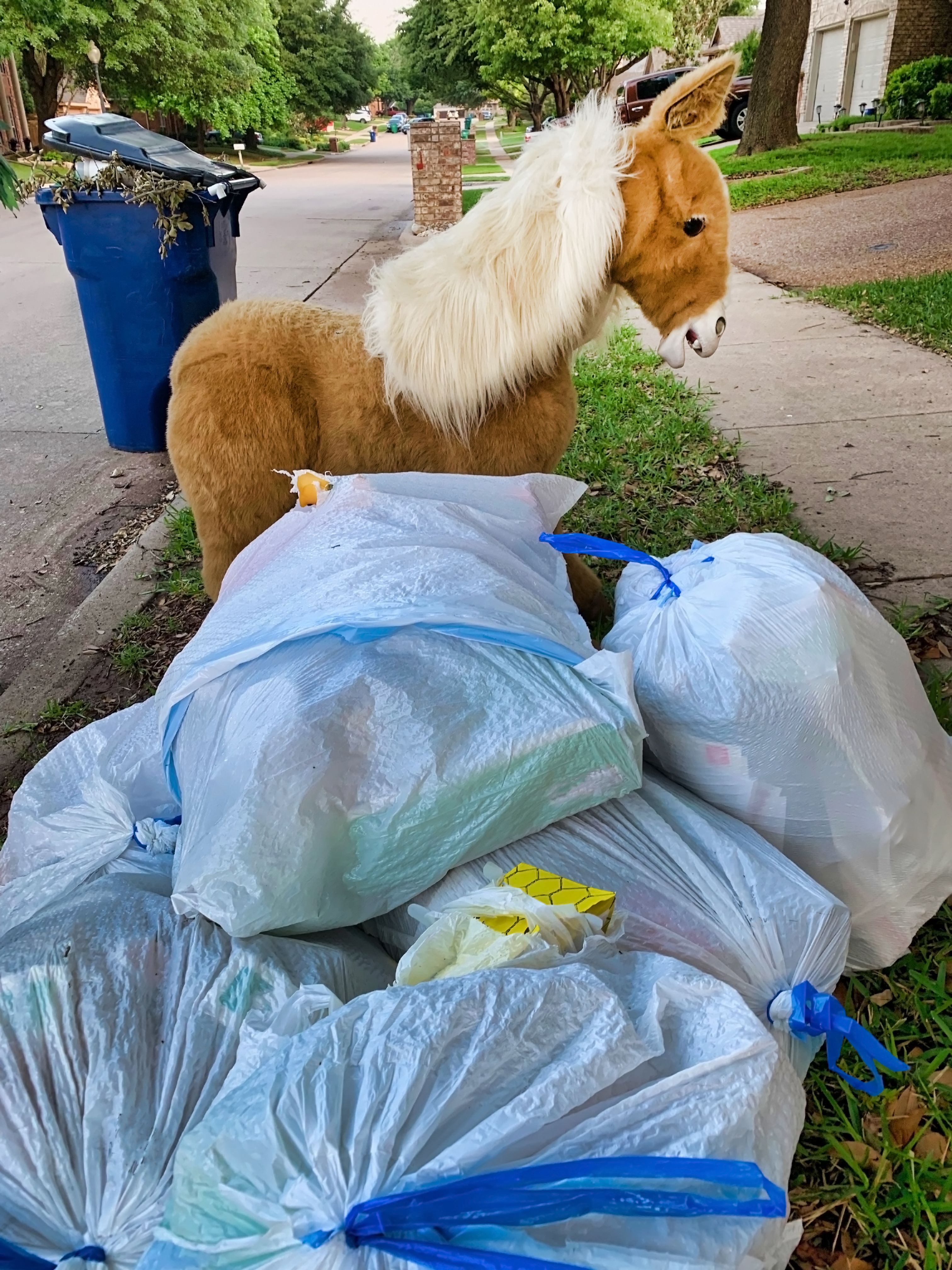 horse waste management