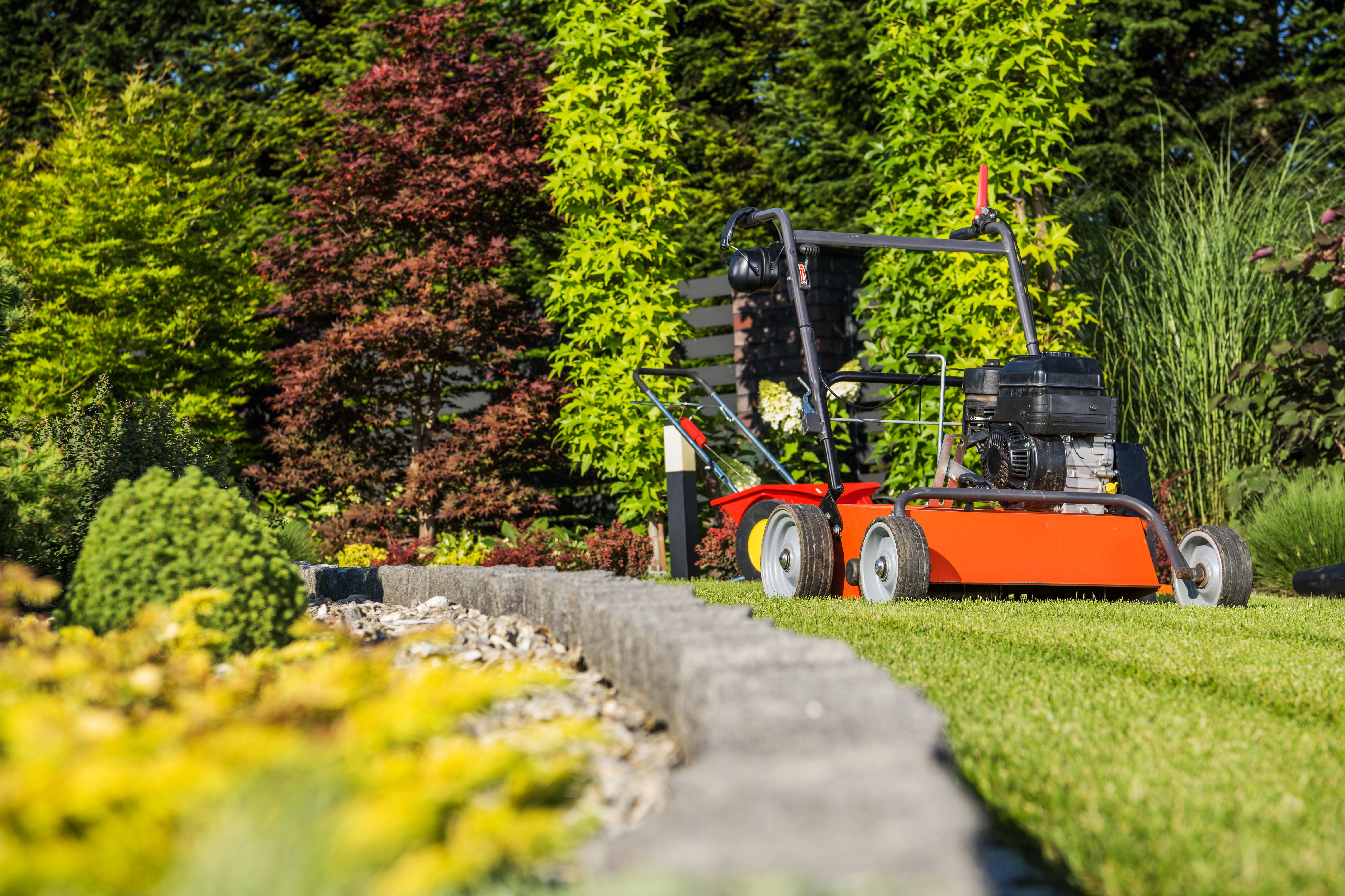 aerating lawn