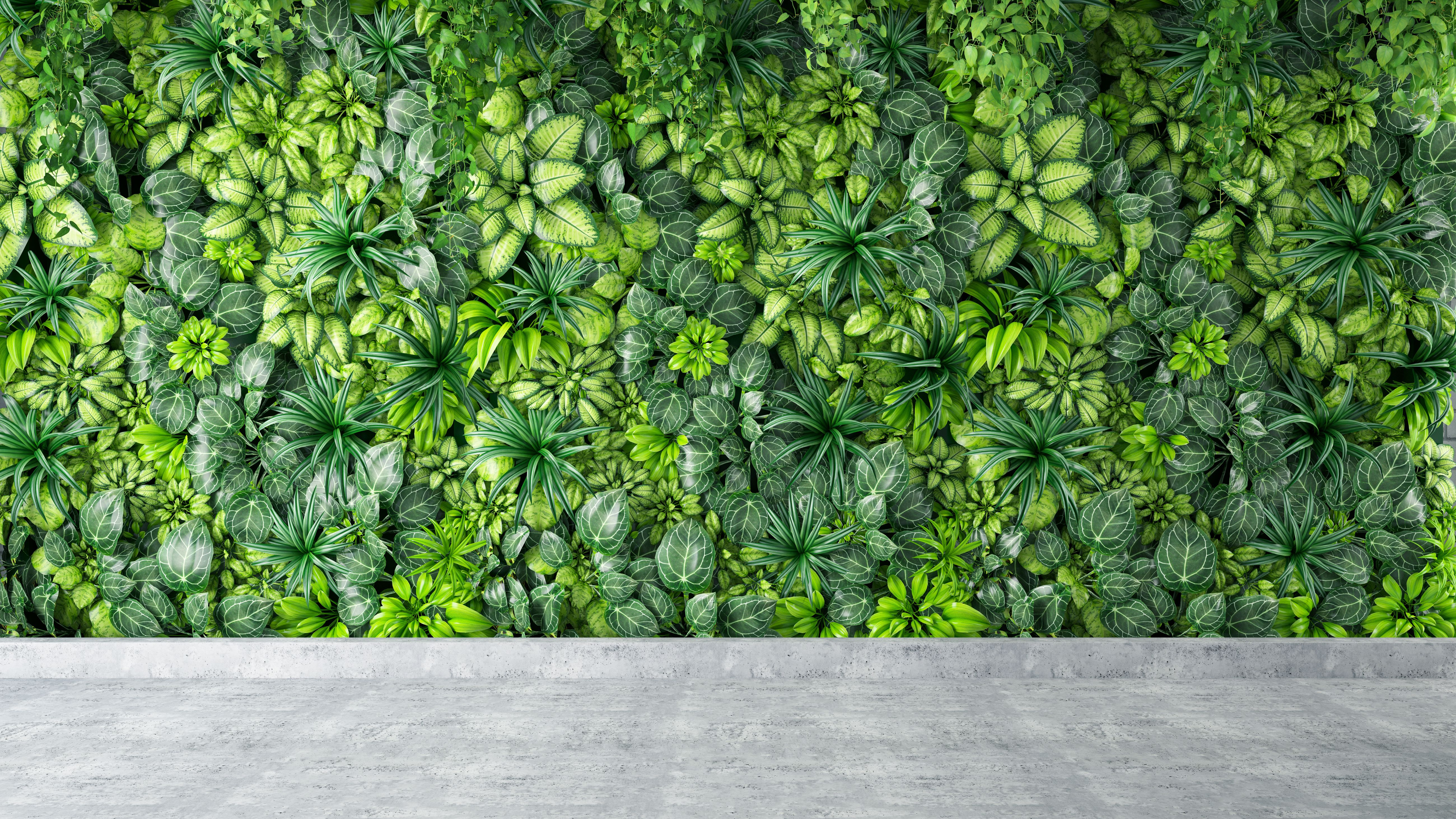 leafy greens
