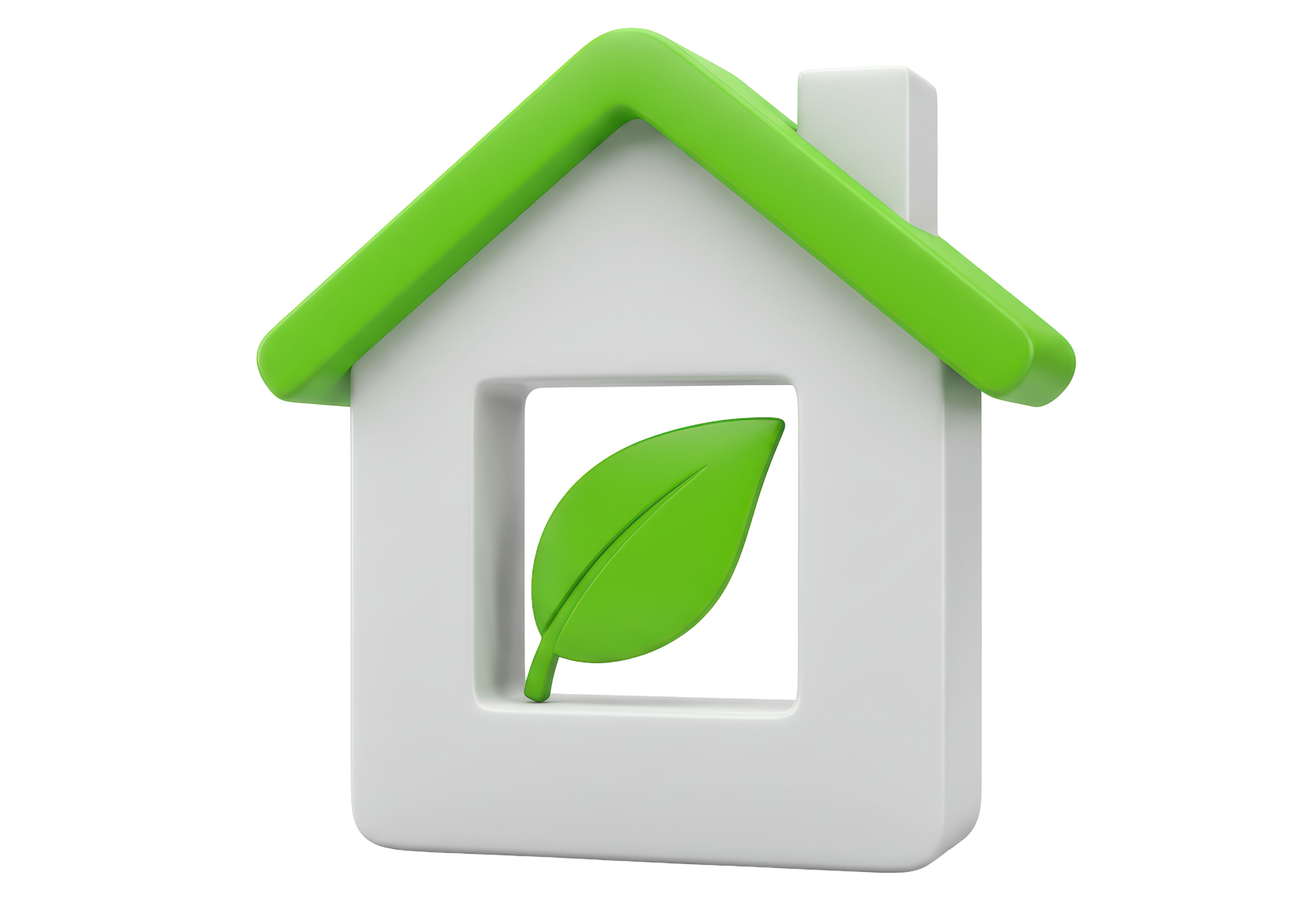 eco-friendly paint home