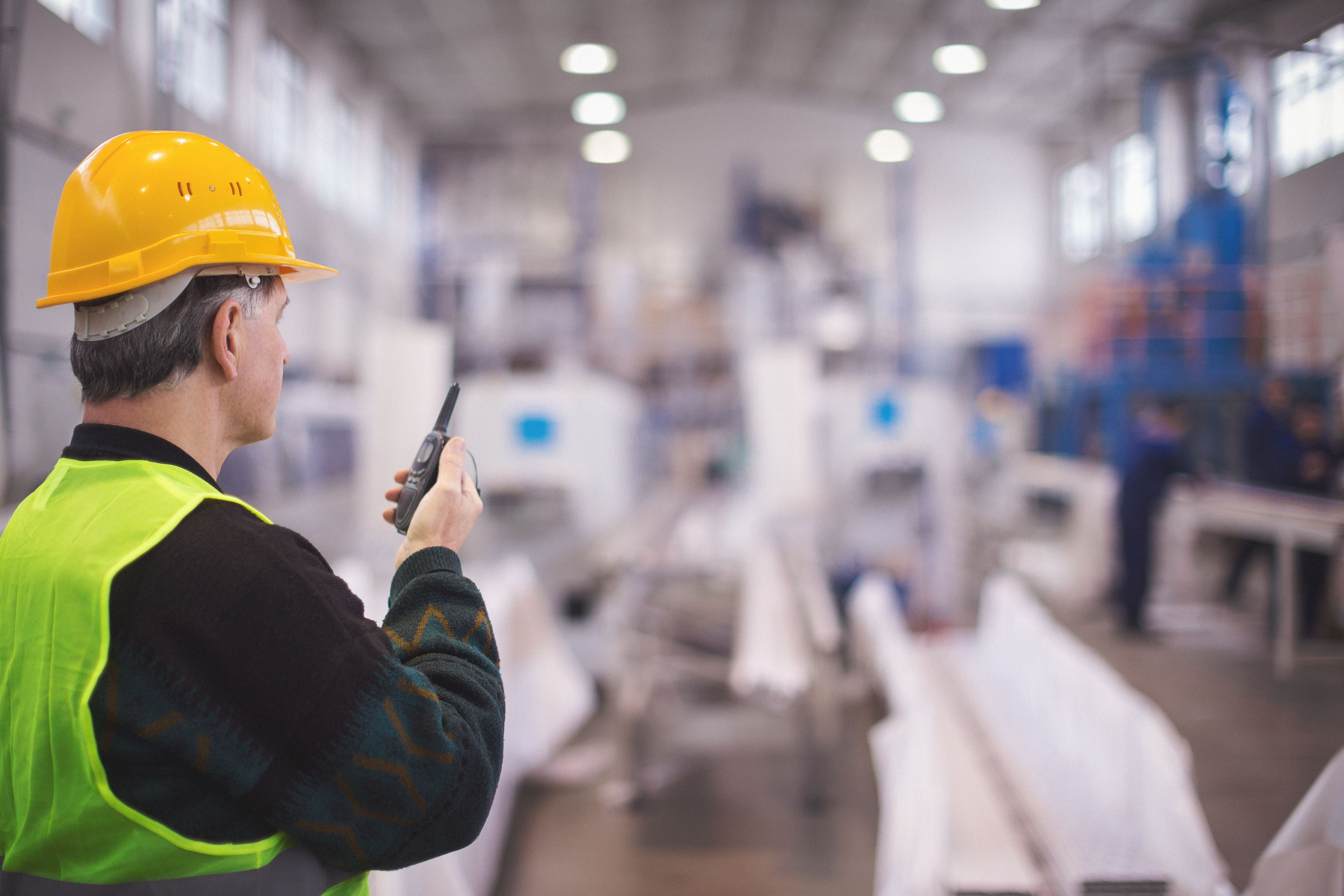 professional organizer