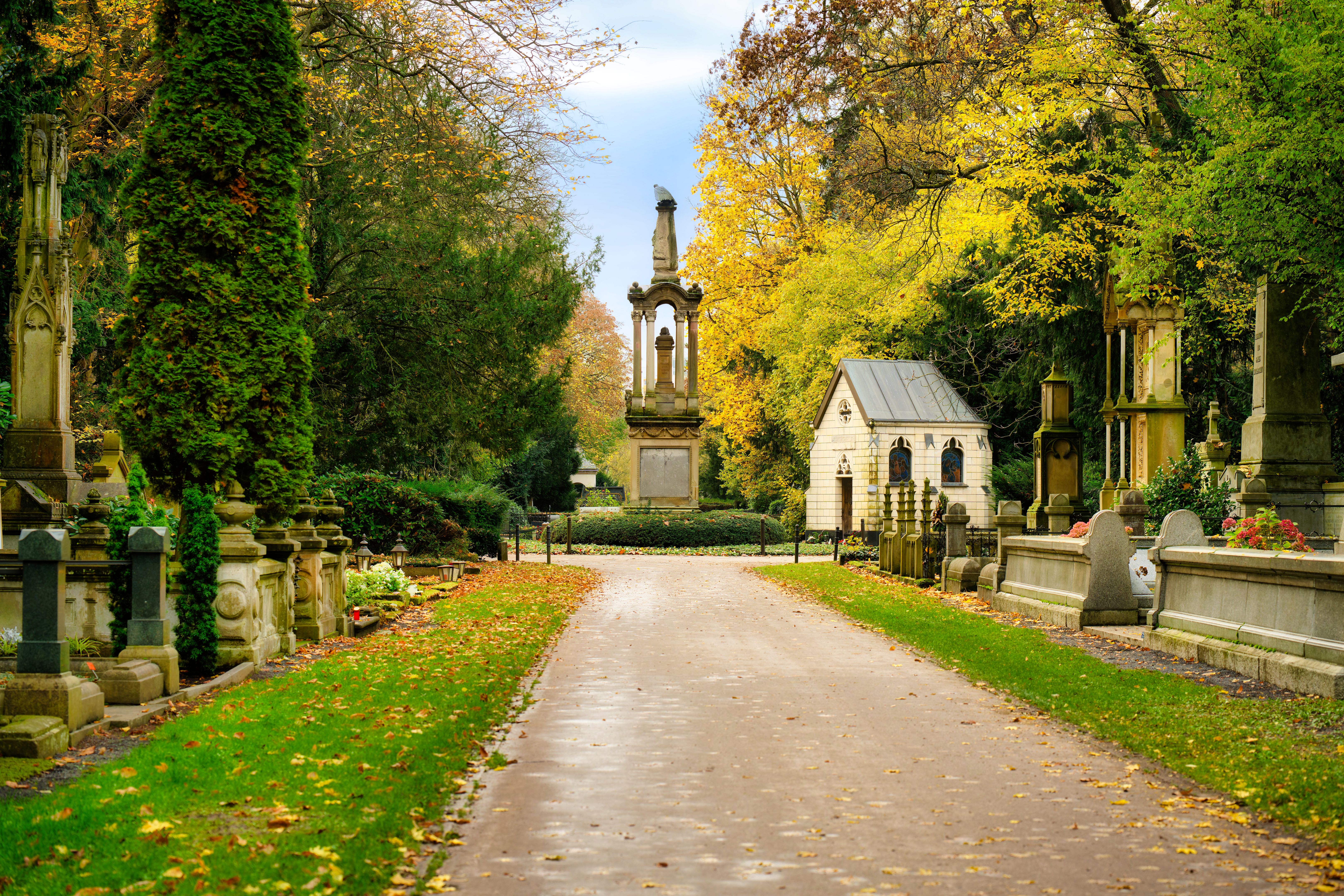 autumn cologne