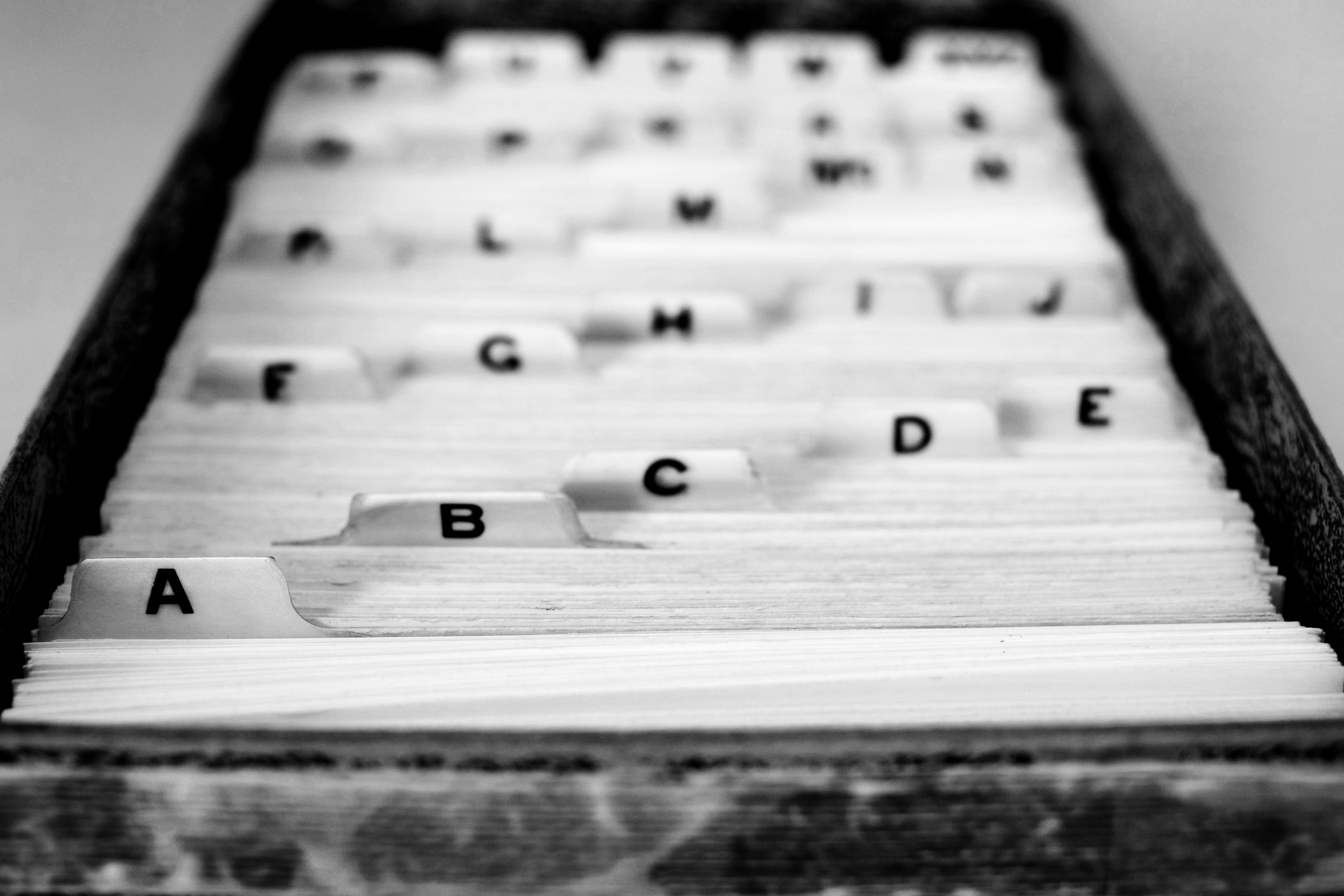 searching business names