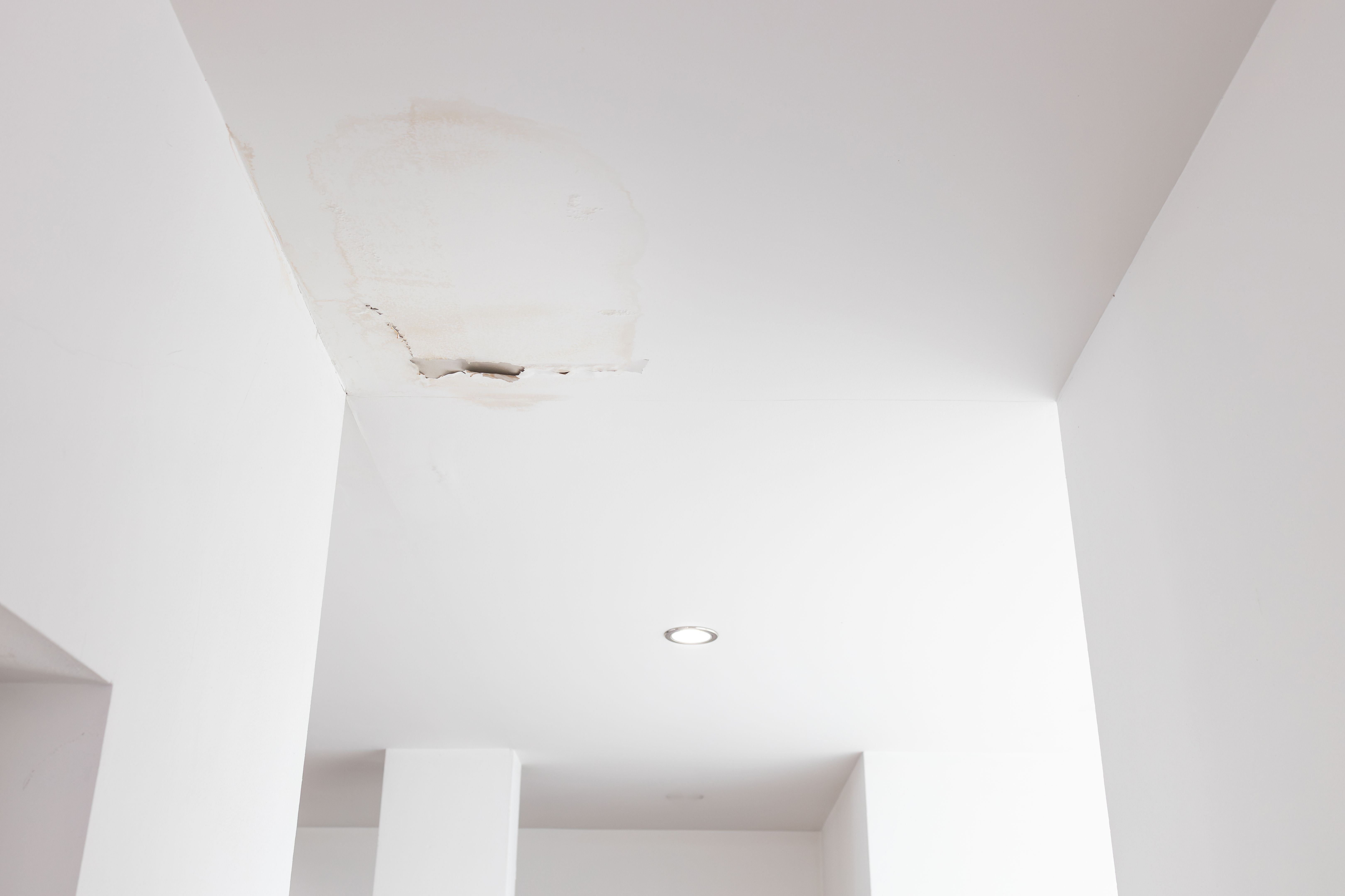 roof interior damage