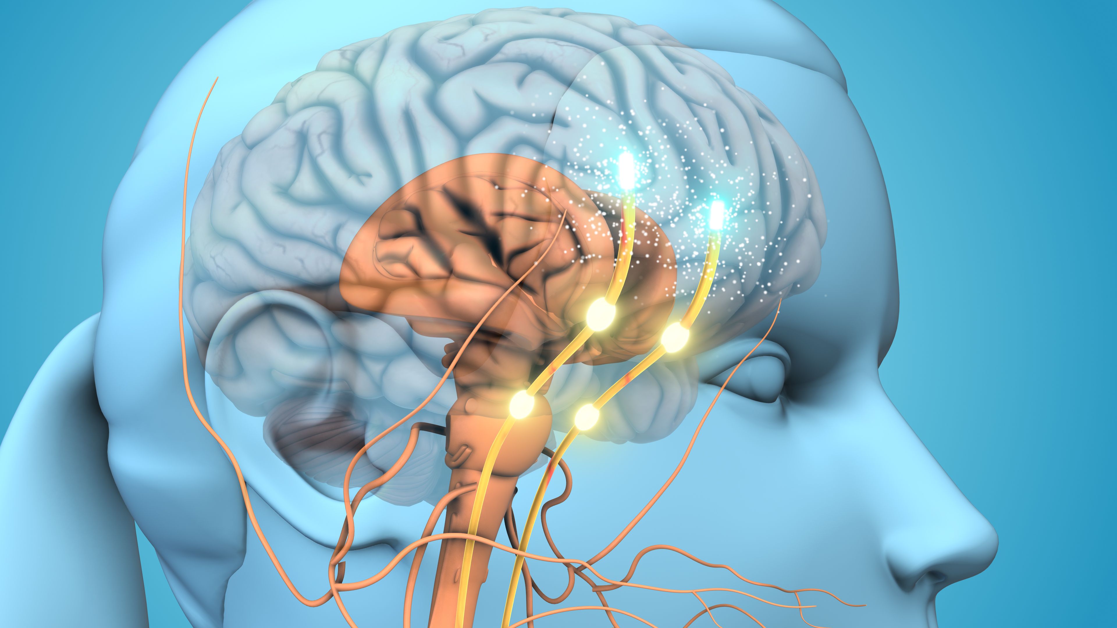 How Memory Really Works (and Why It Often Doesn’t)