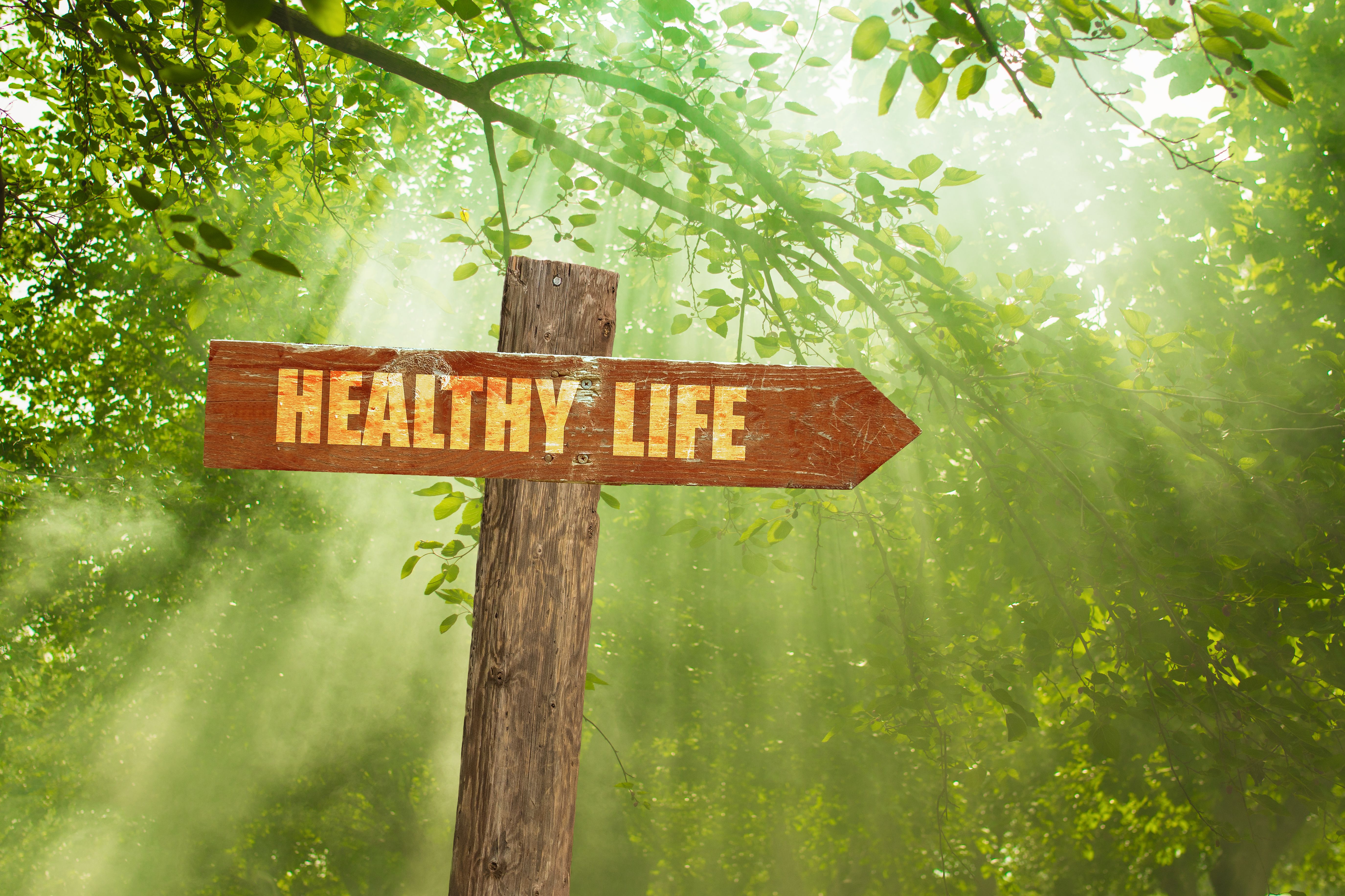 wellness journey
