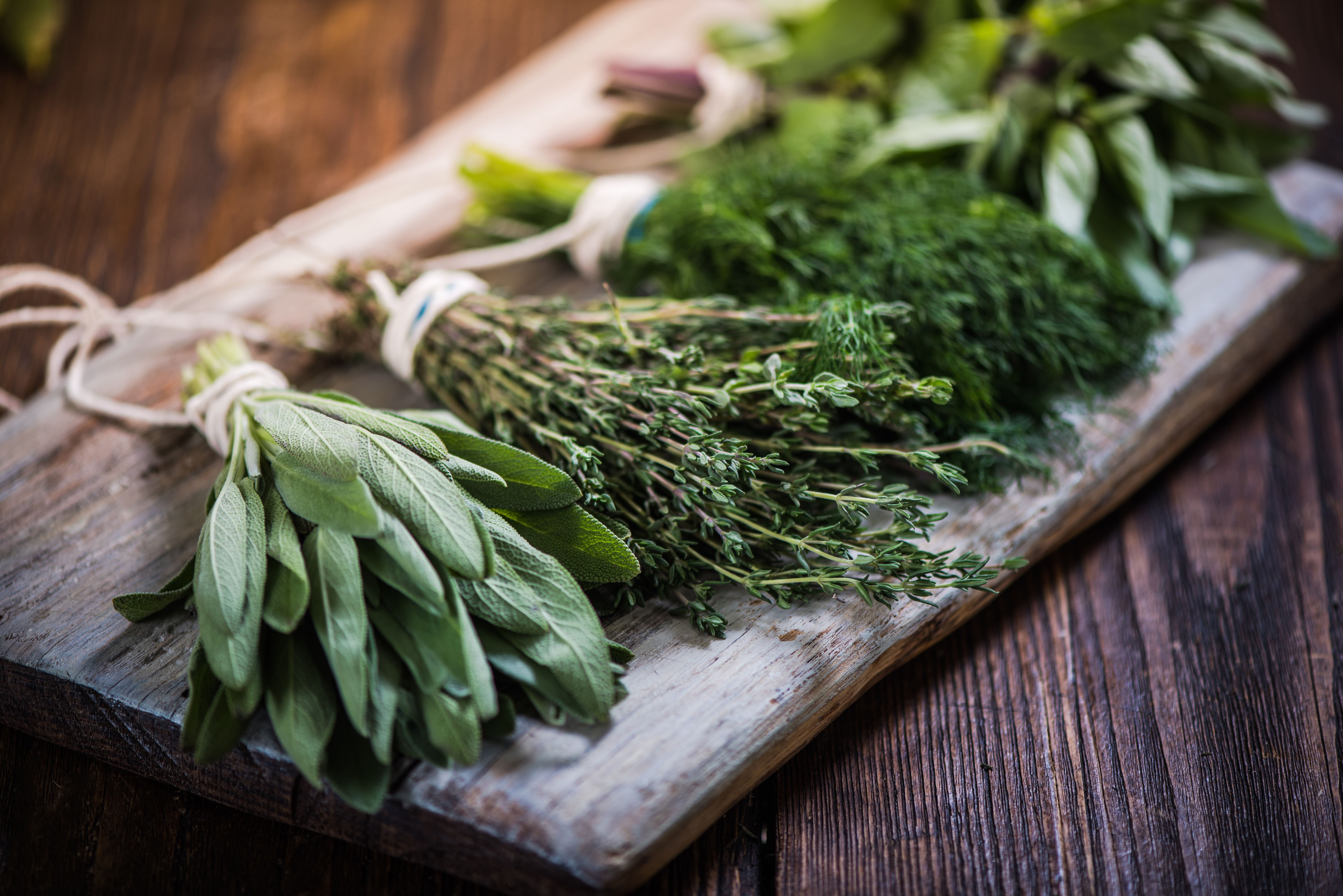 cooking with herbs