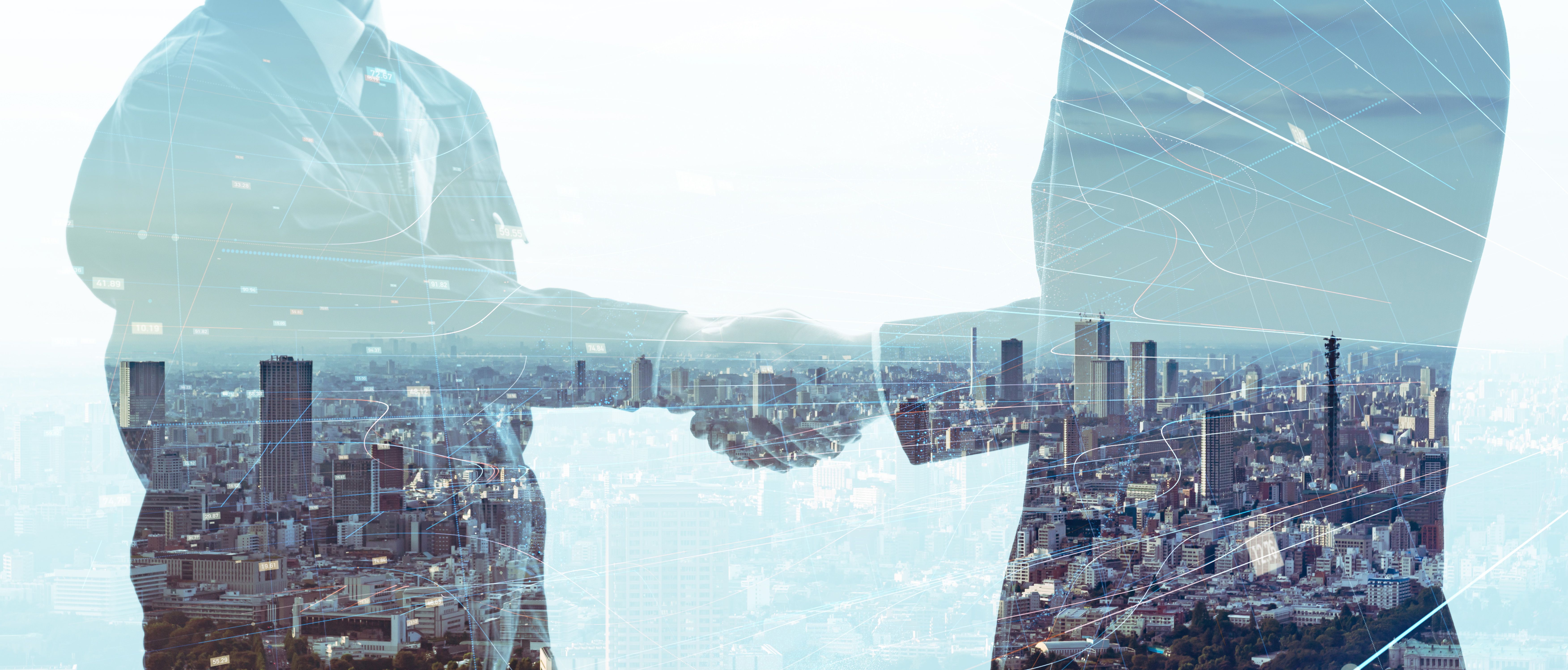 japanese partnership