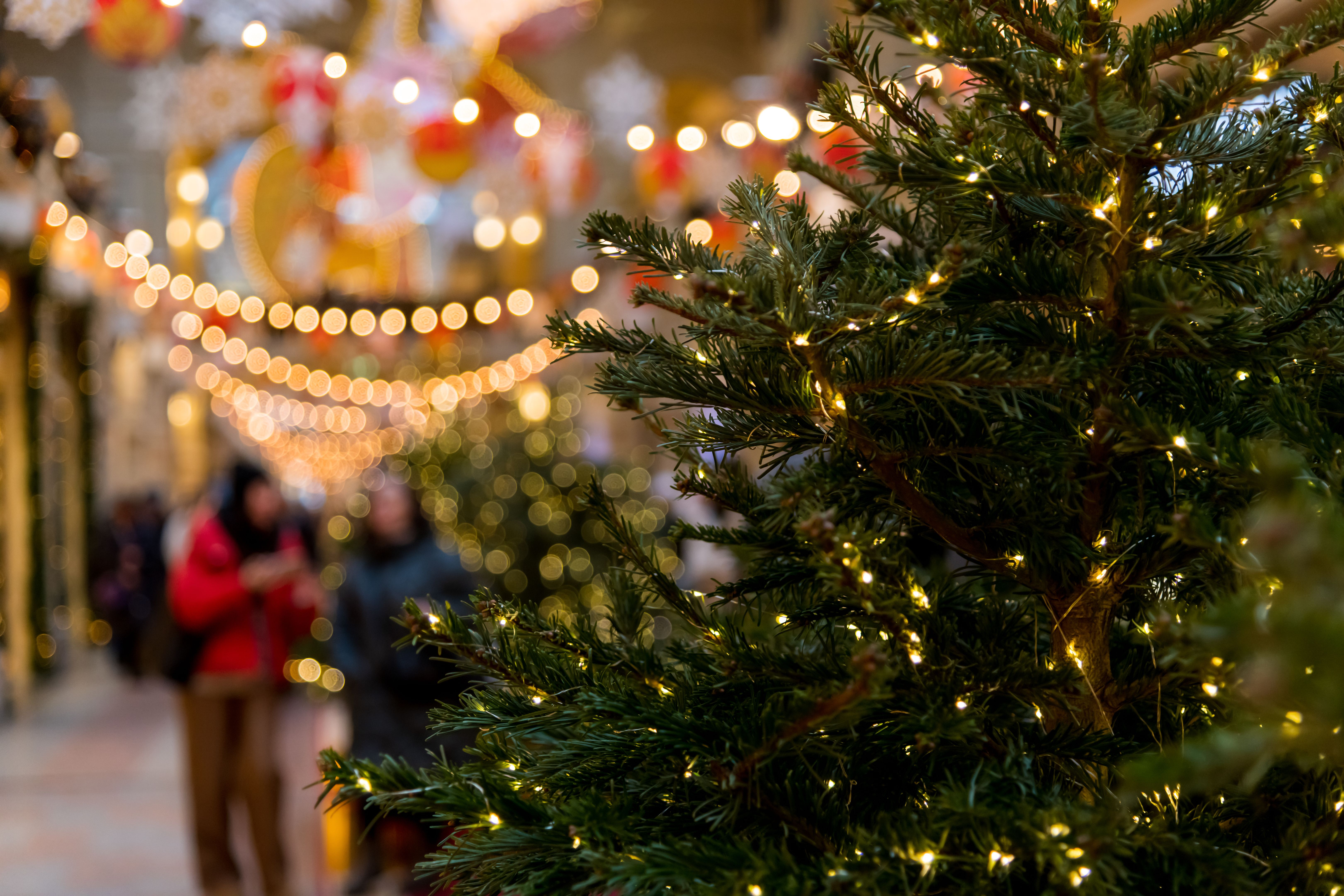 christmas light planning