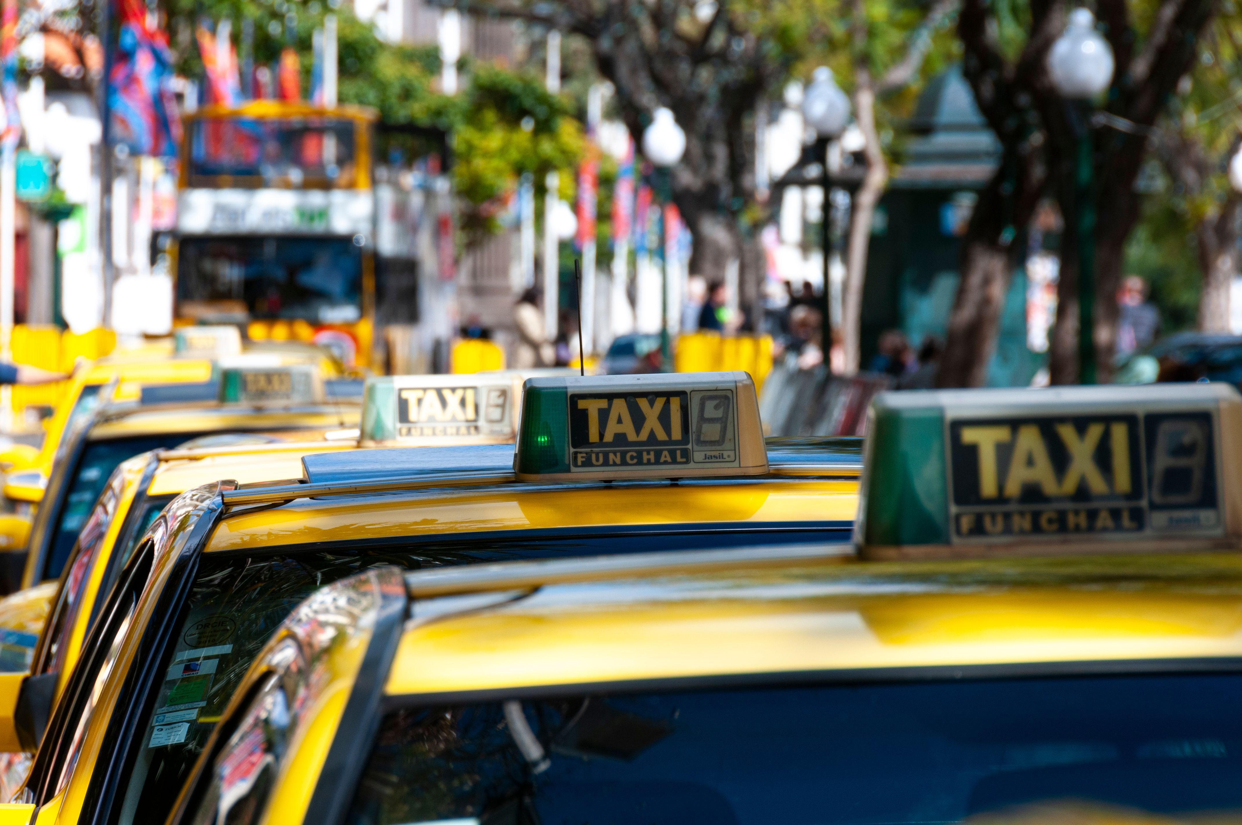 madeira taxi