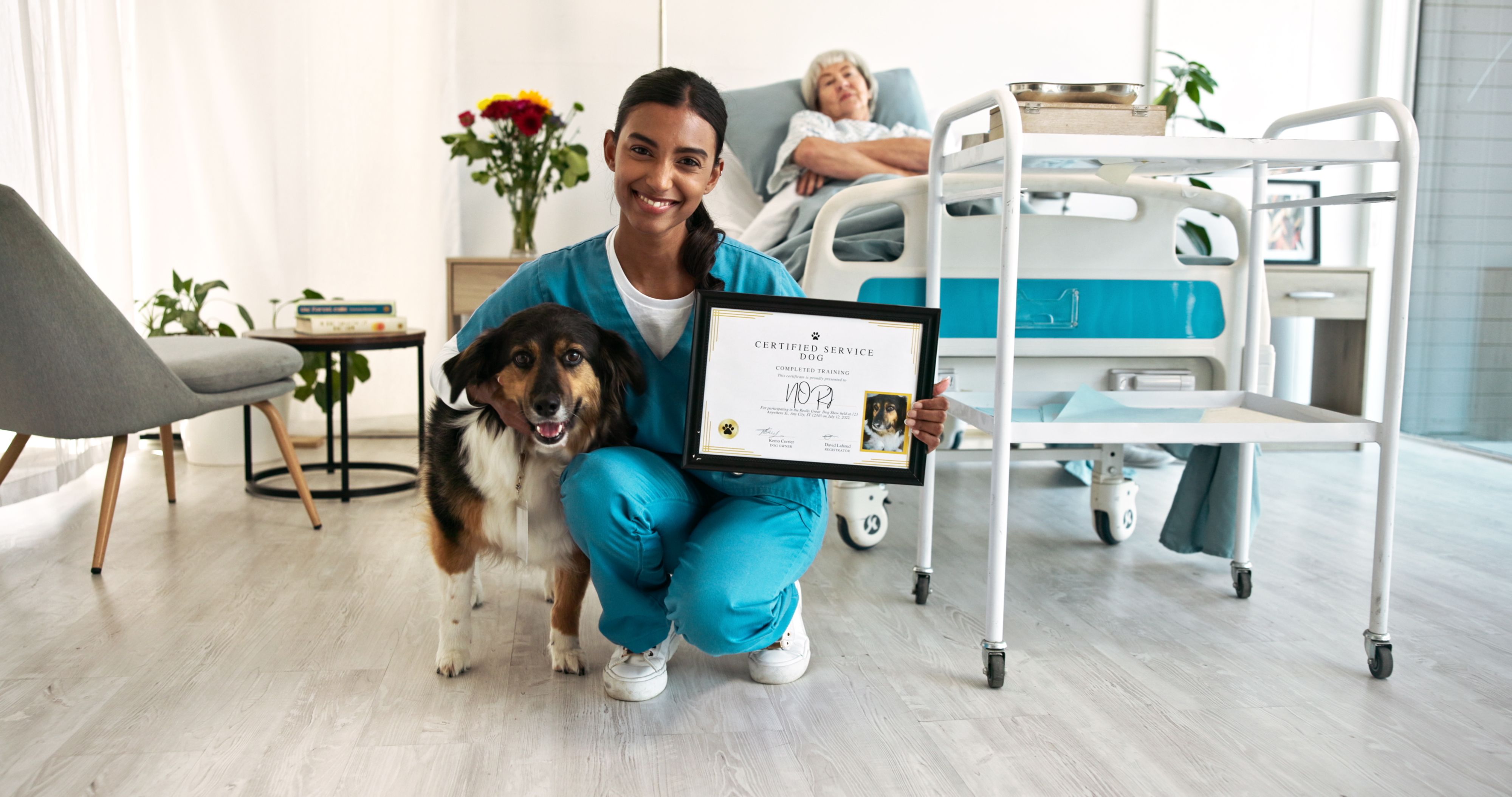 service dog certification