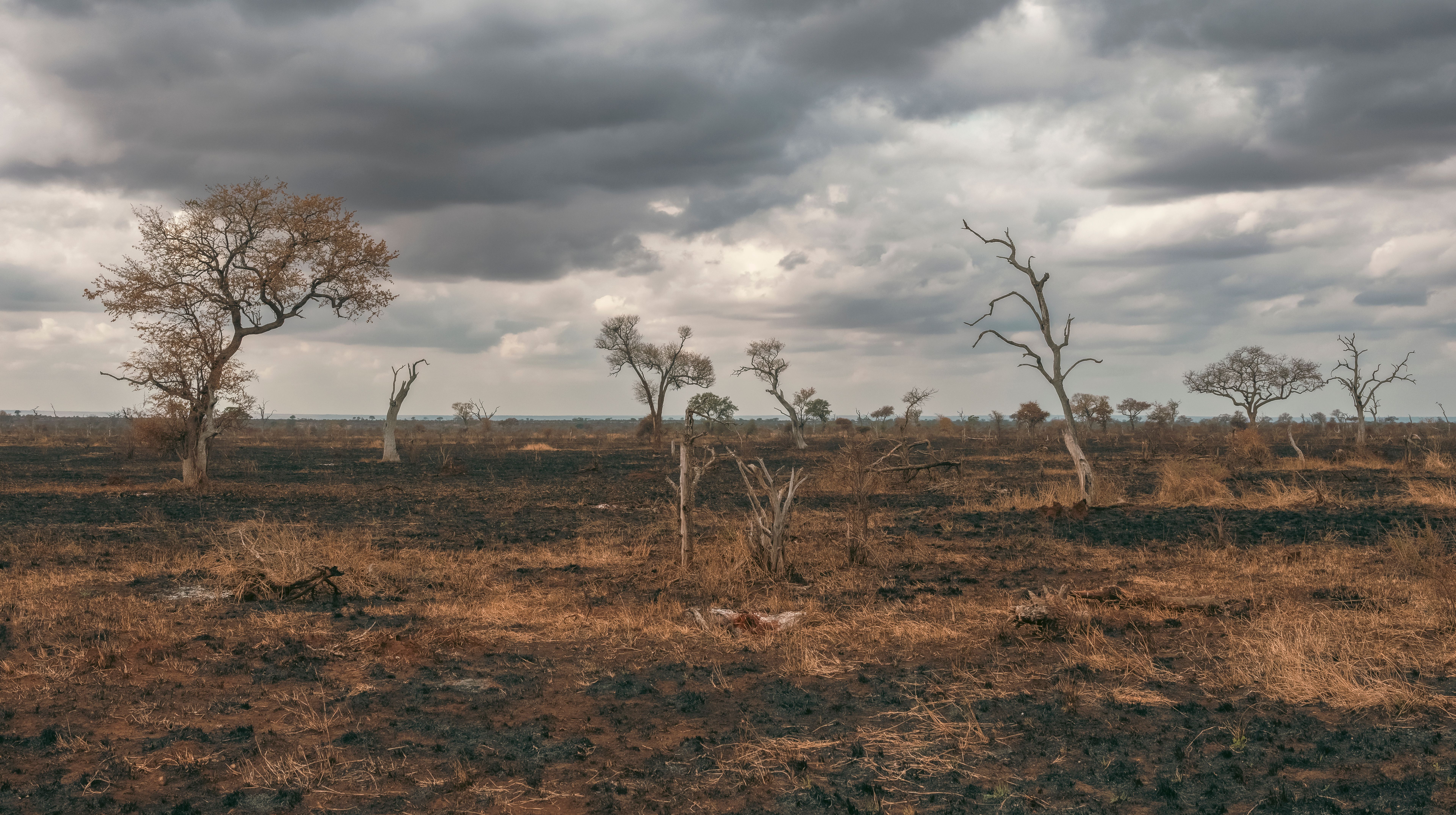 climate change health Africa