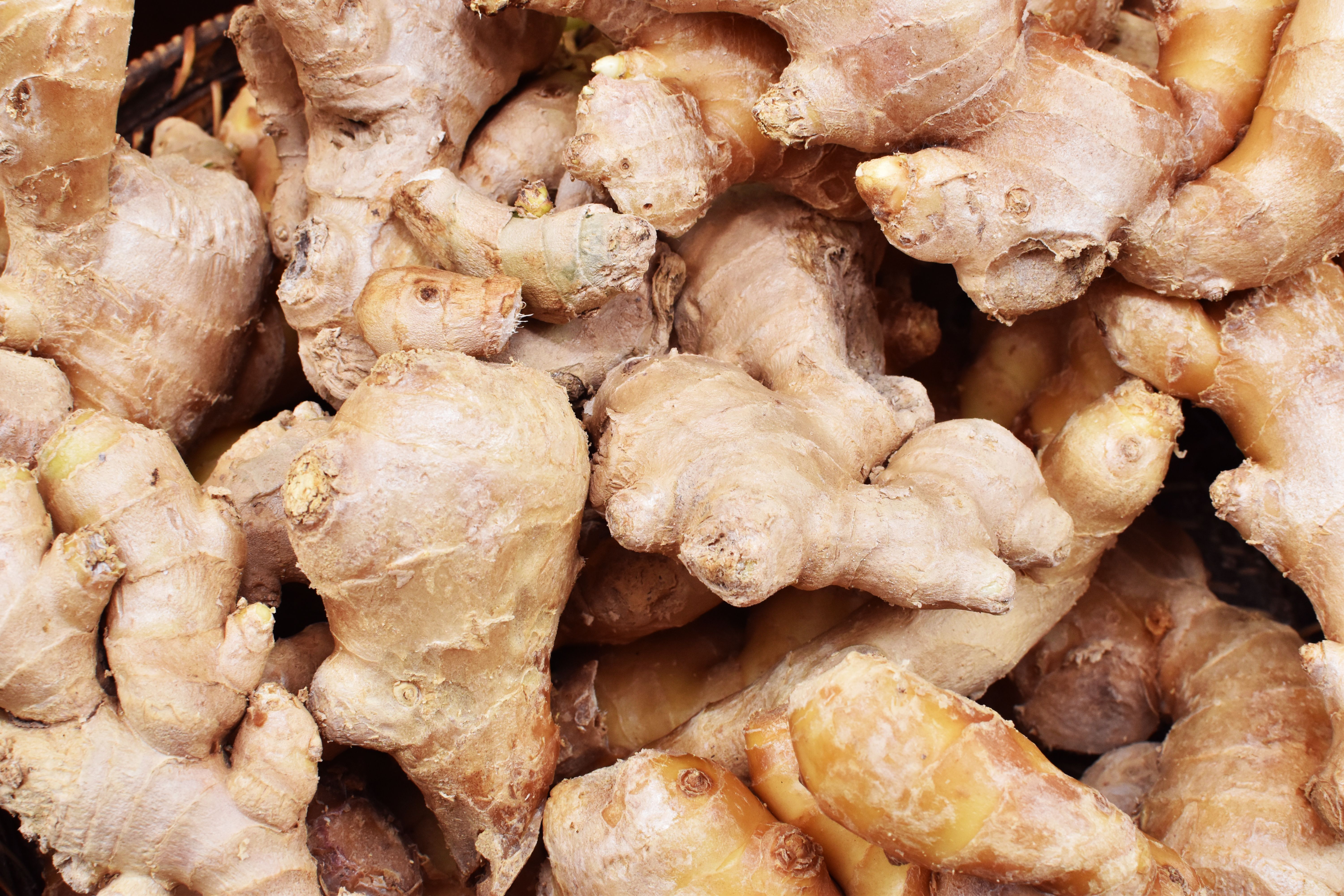 Close up shot of ginger root Close up shot of ginger root