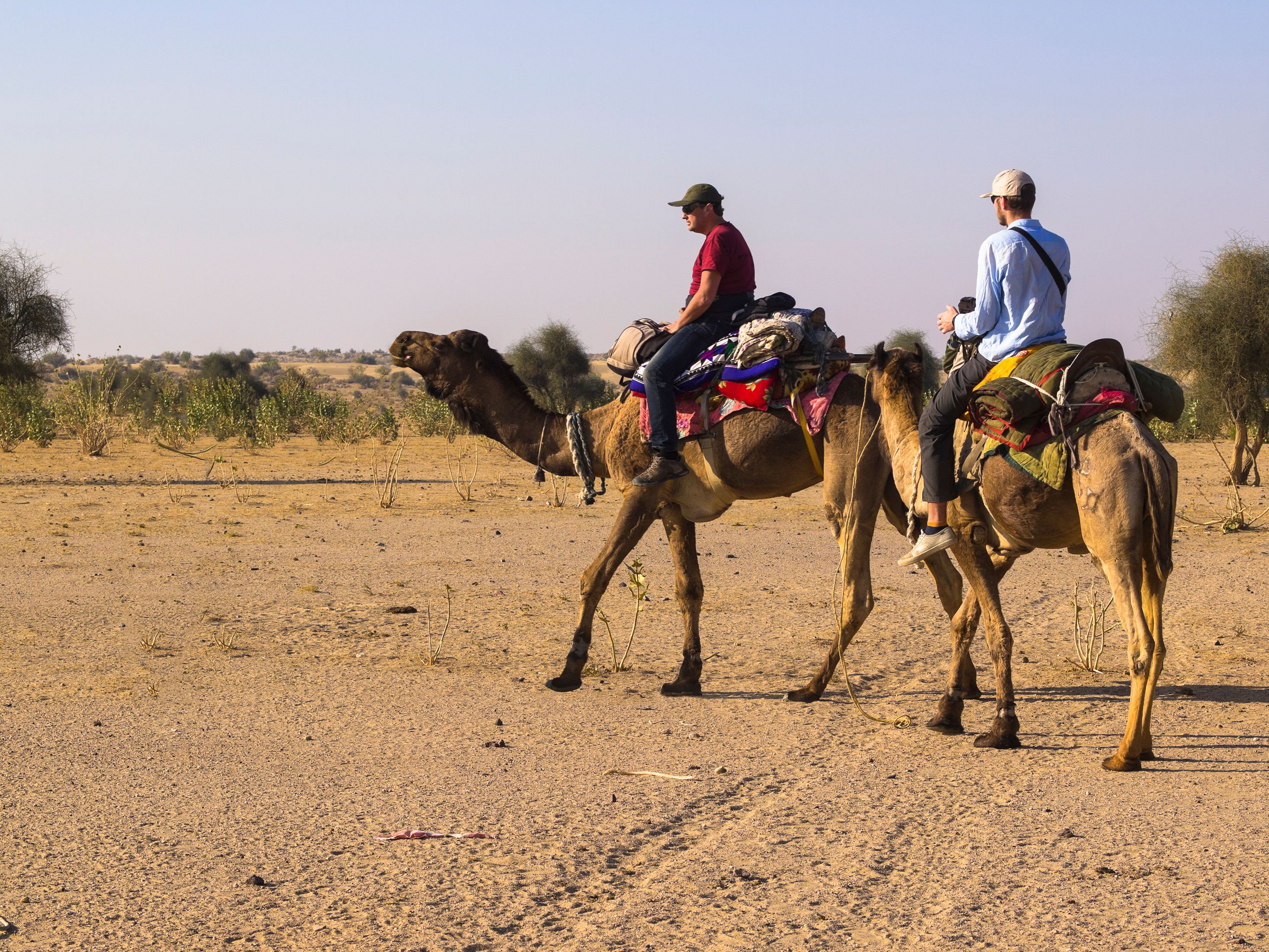 Desert Camel Riders Desert Camel Riders