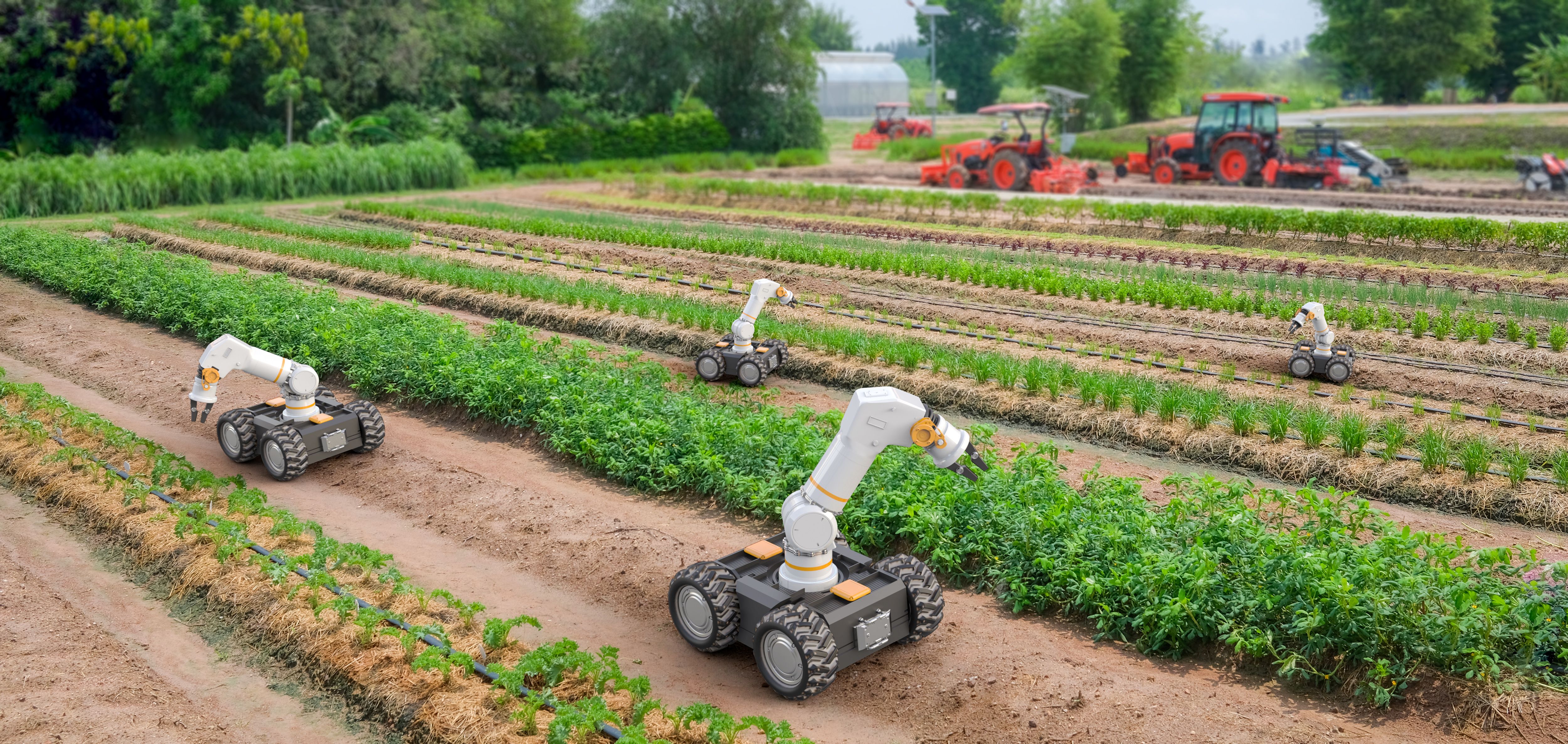 small robots in field