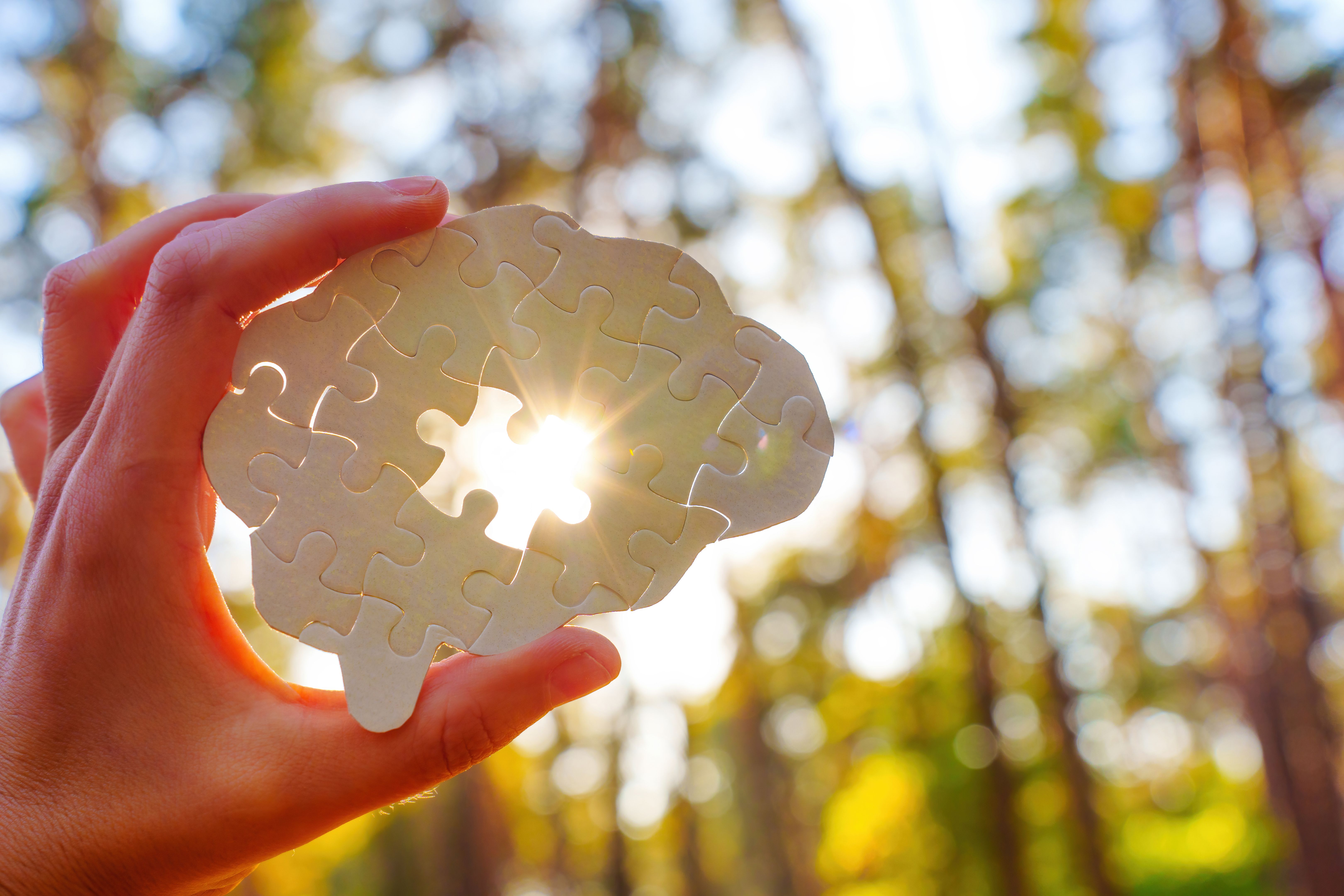 Holding Puzzle Piece Shaped Like Brain With Sunlight Background