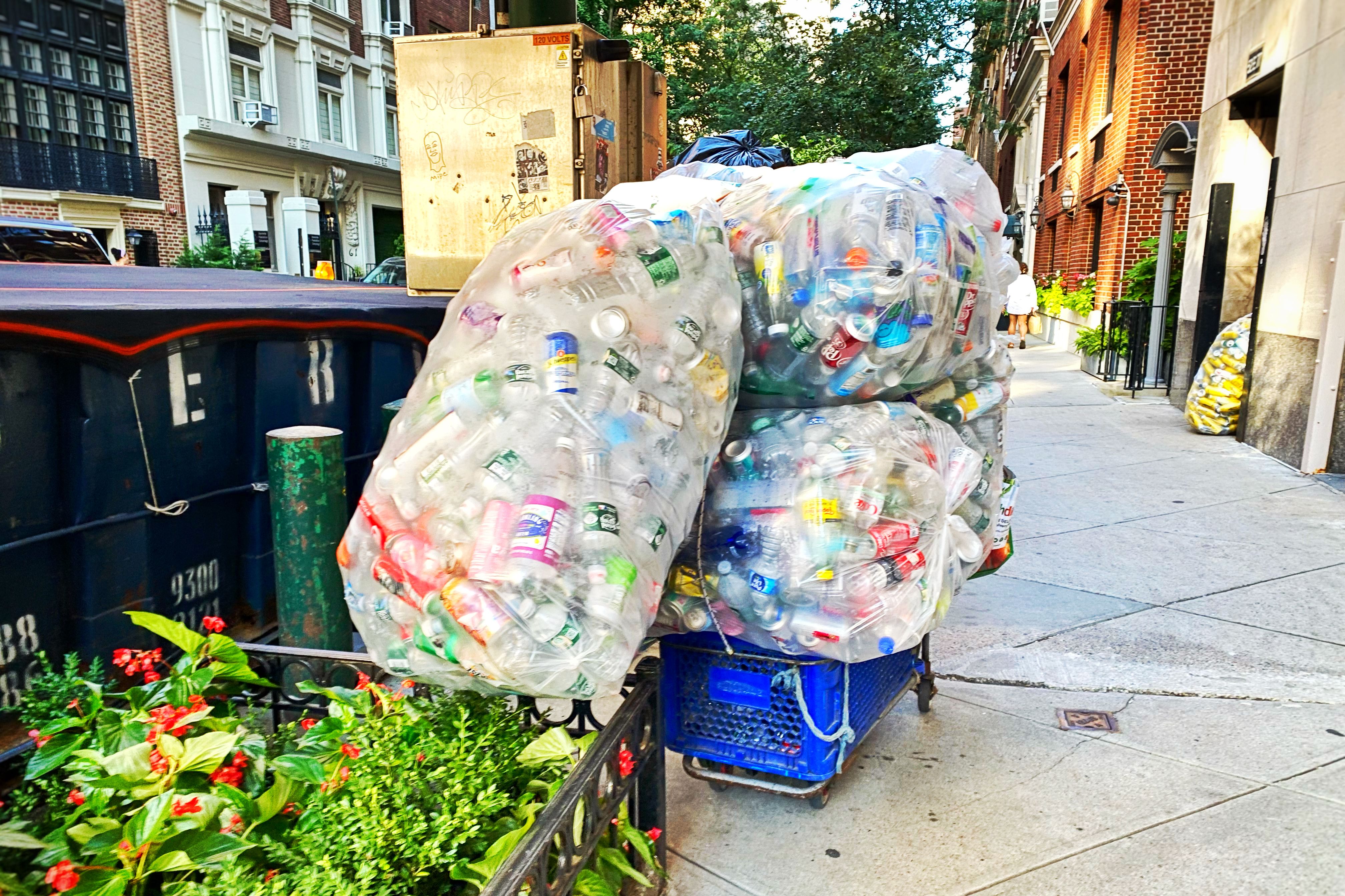 collectibles display