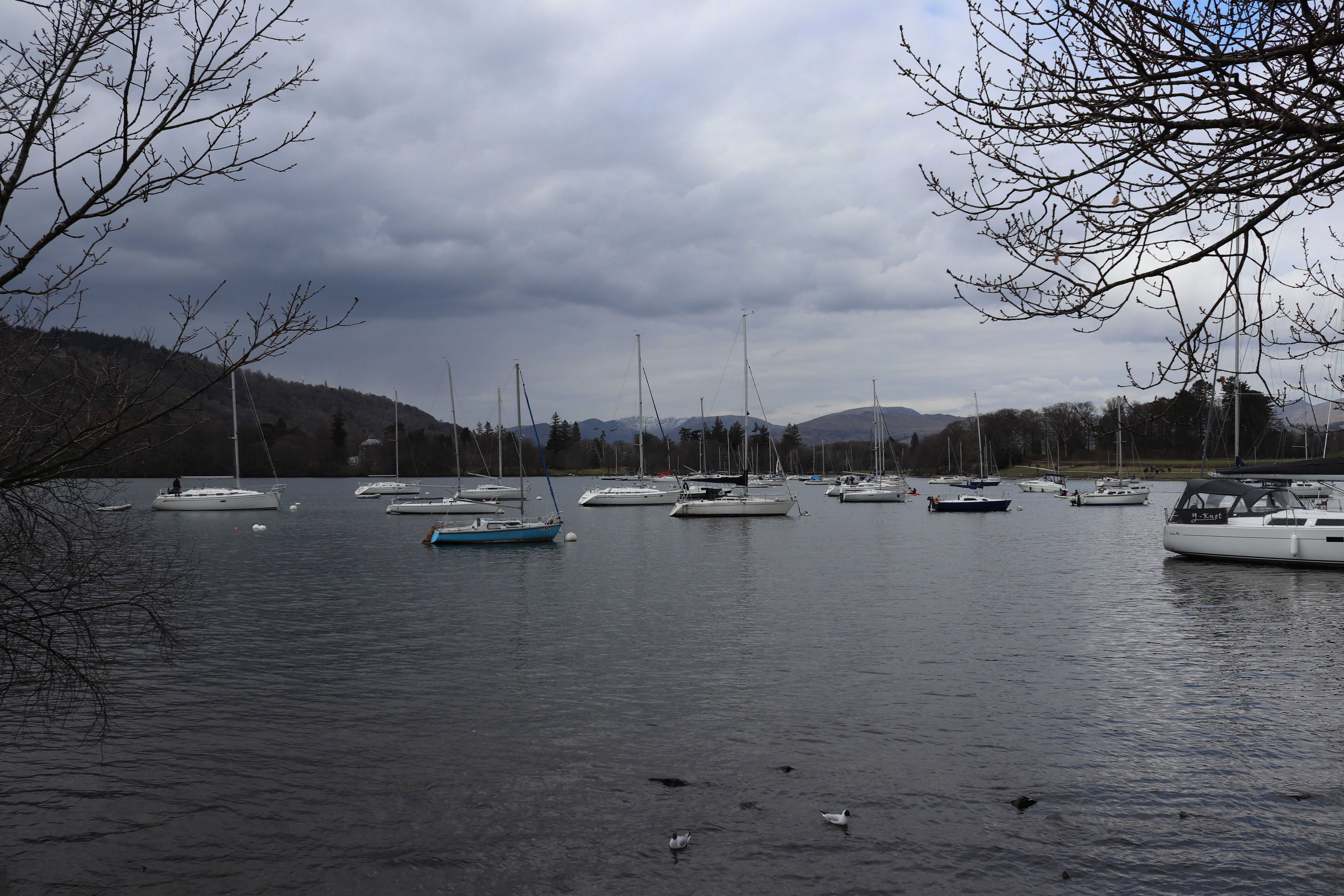 lakeland quality life