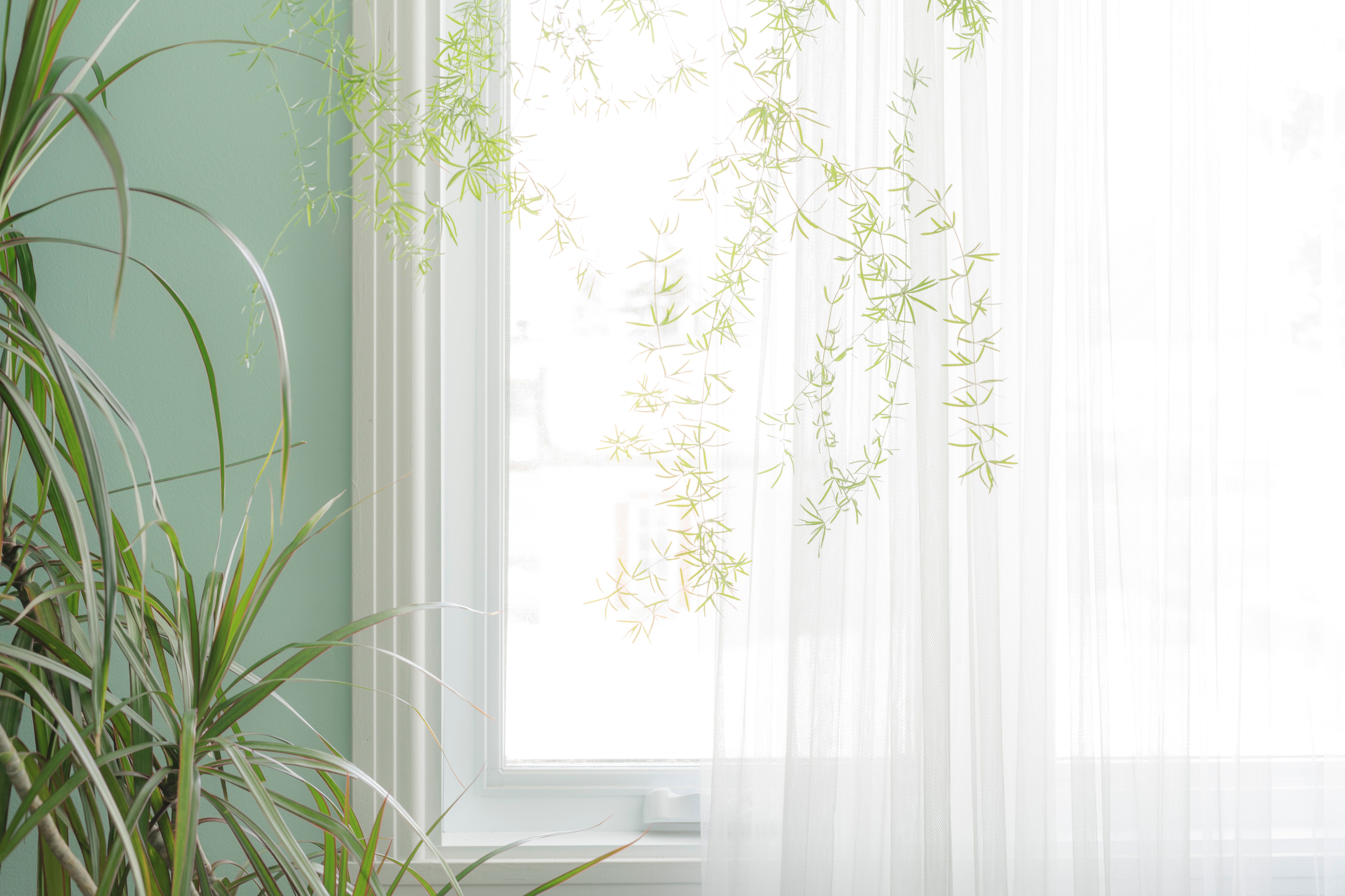 indoor light