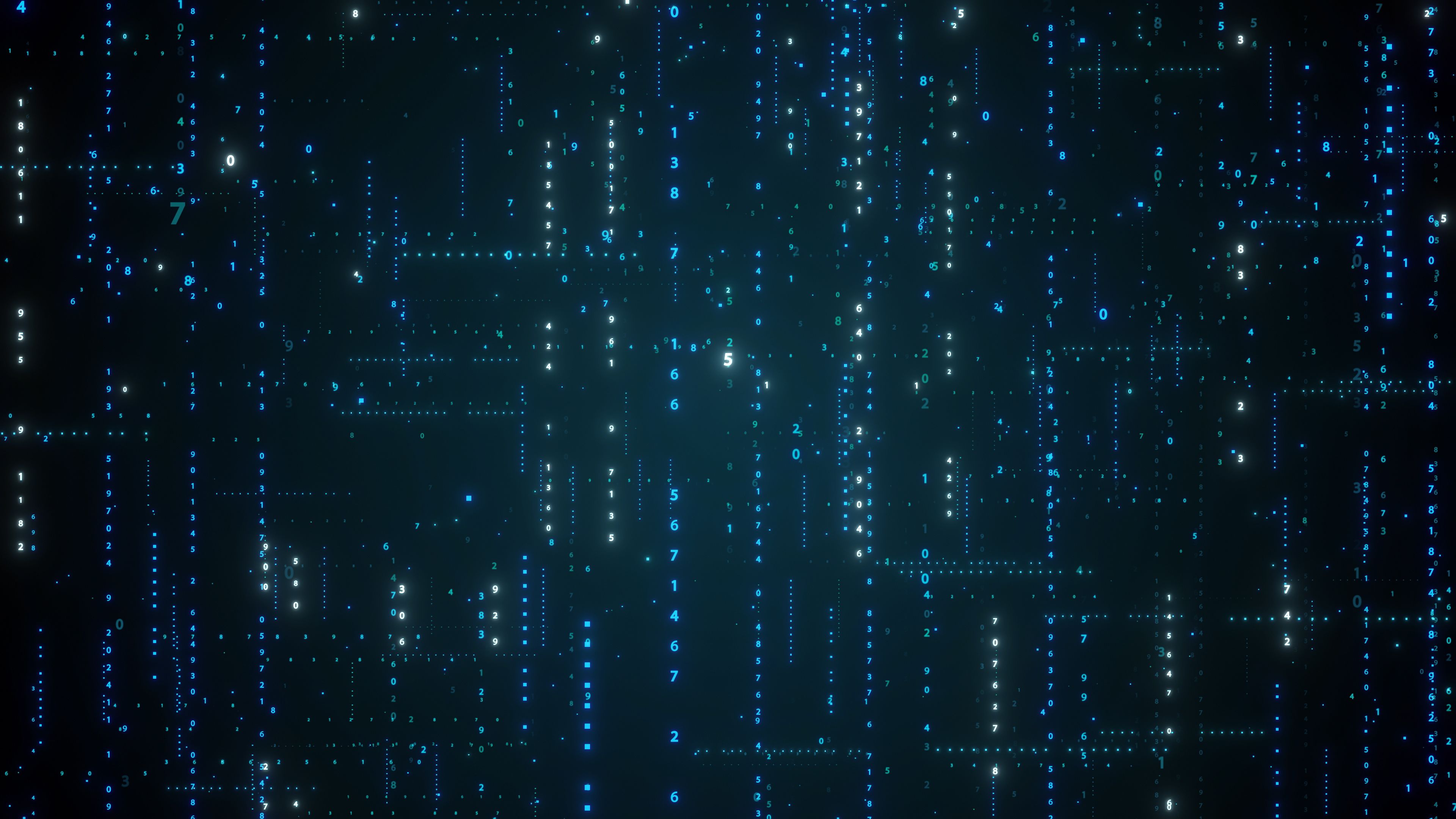 blockchain network