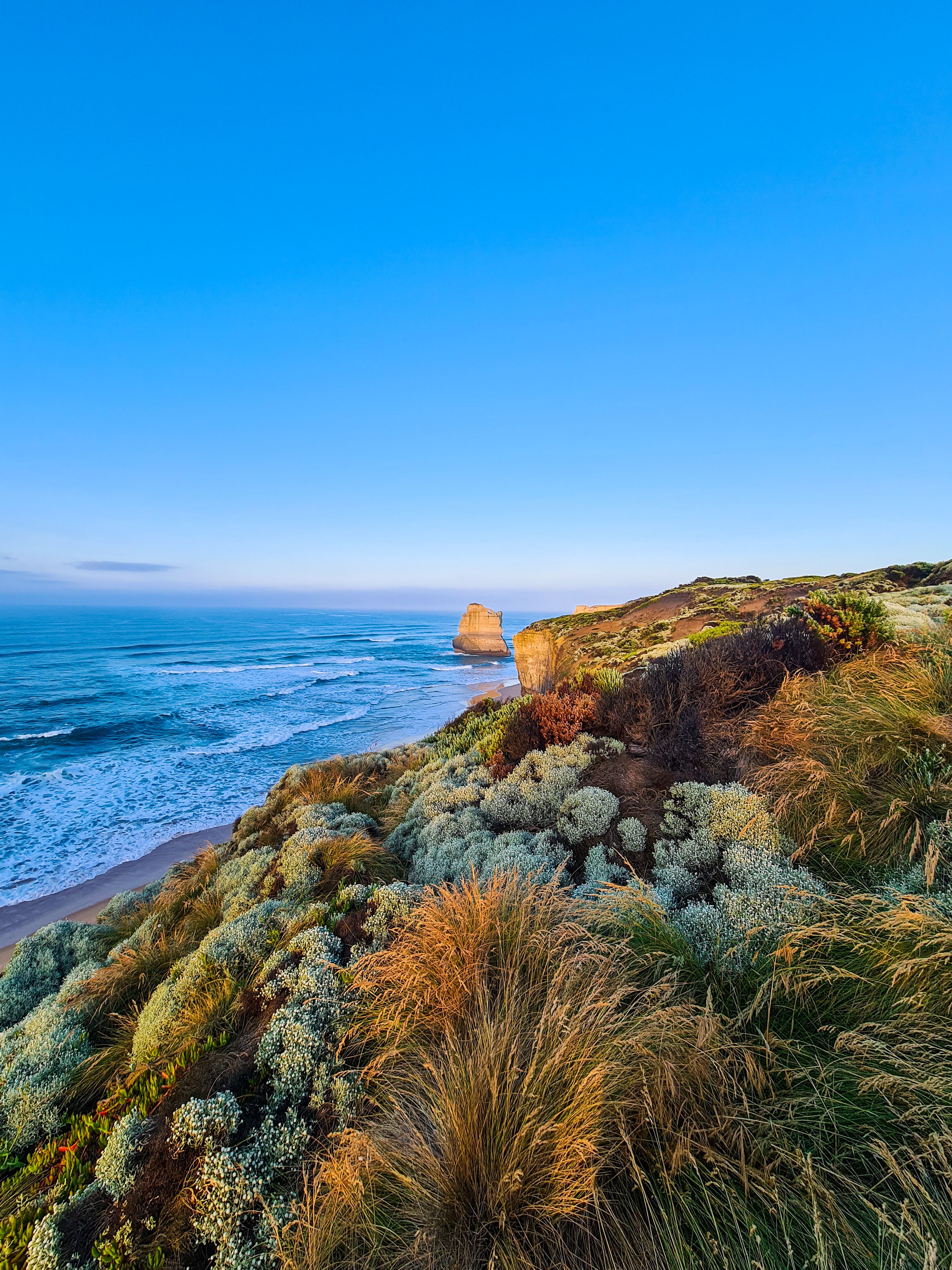 australian landscape
