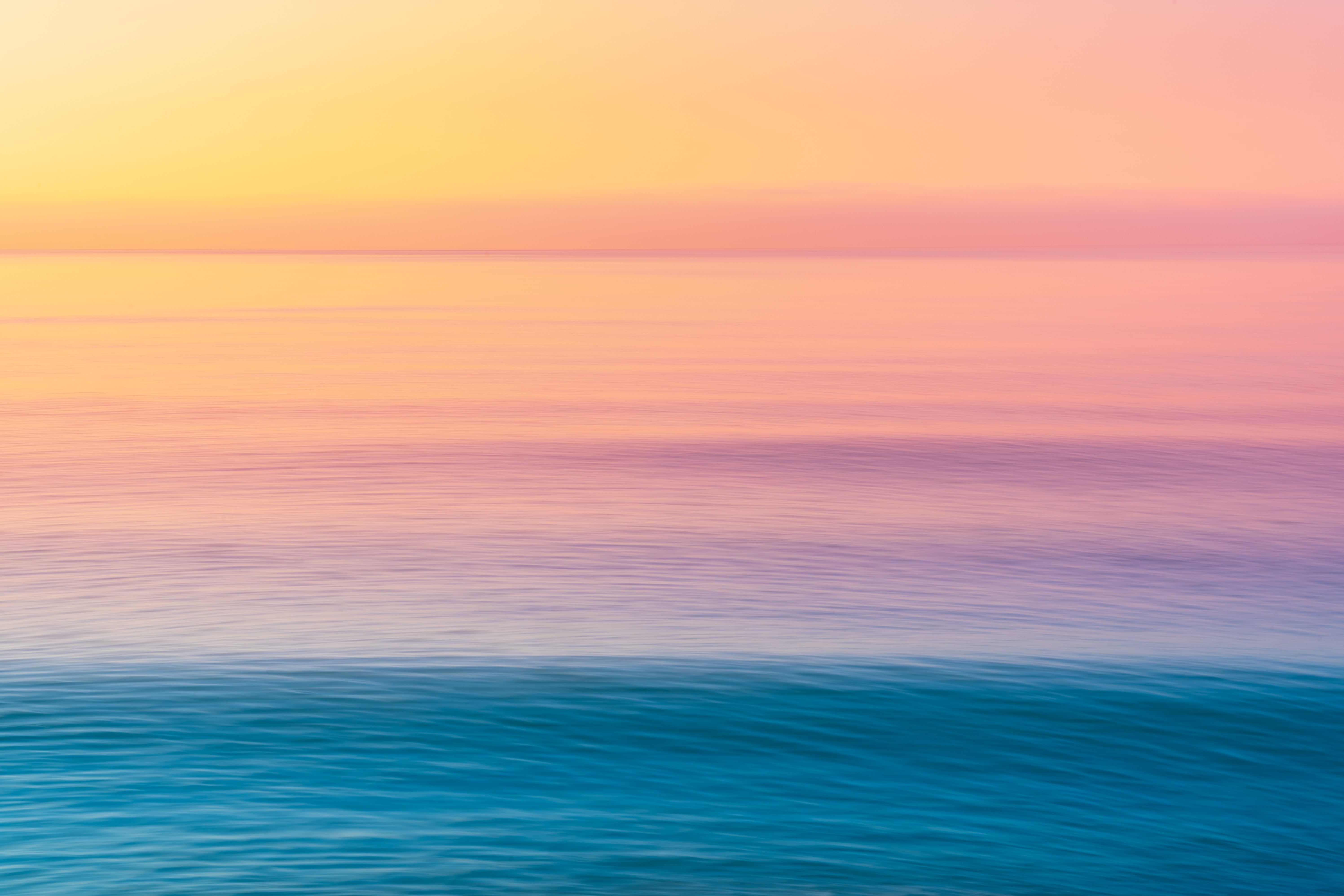 cotton candy flavors