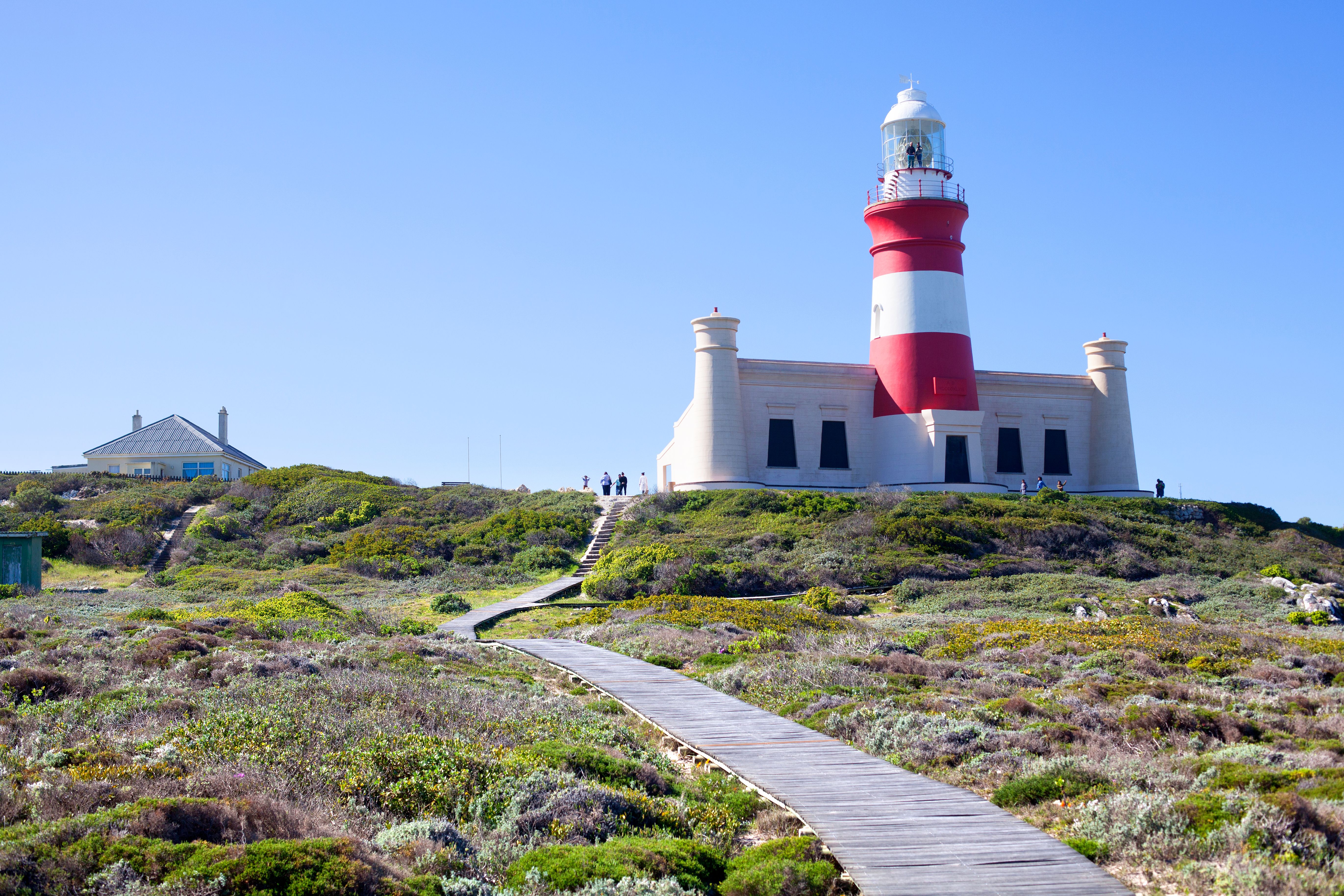 local guide cape town