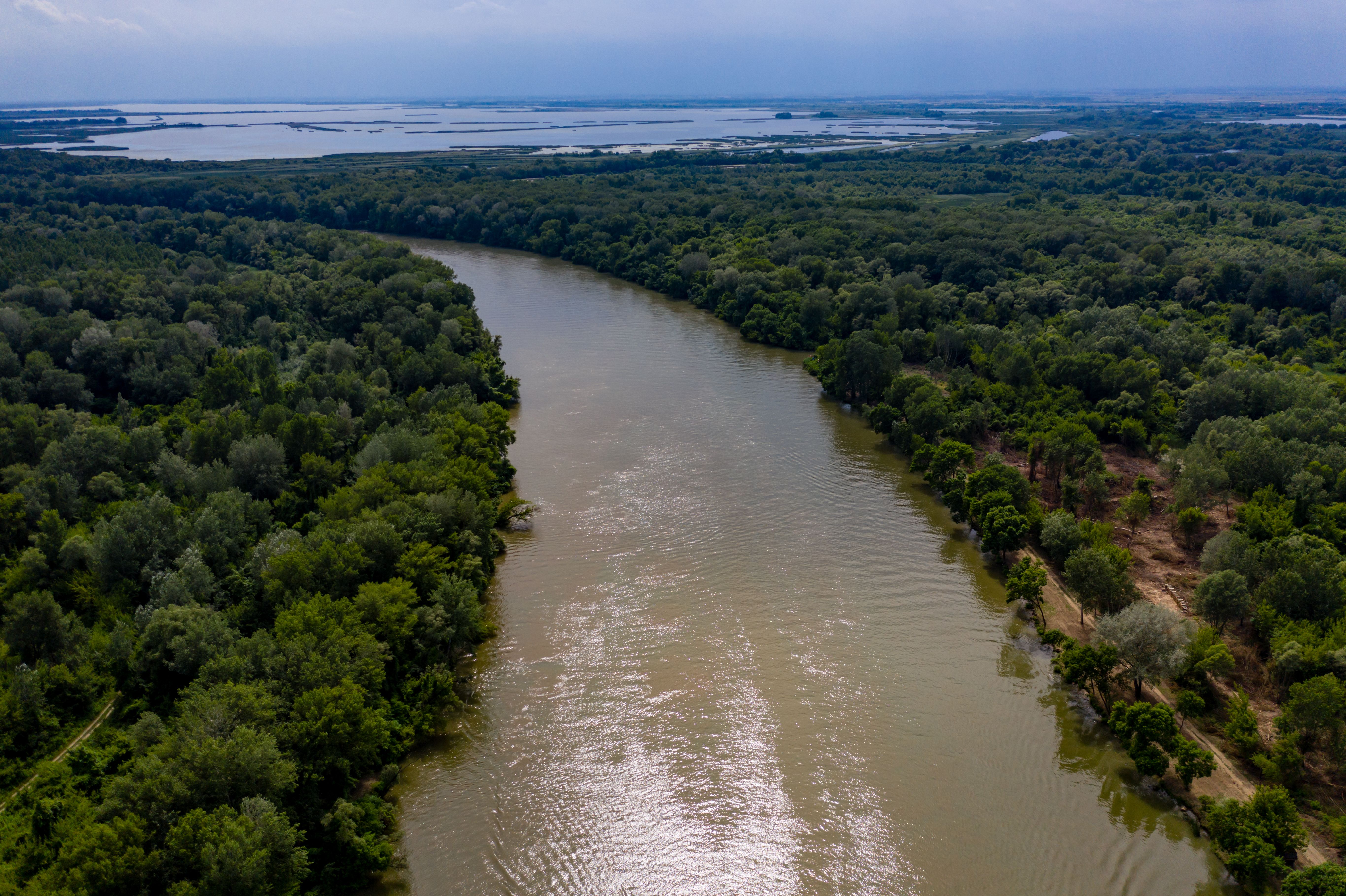 delta region