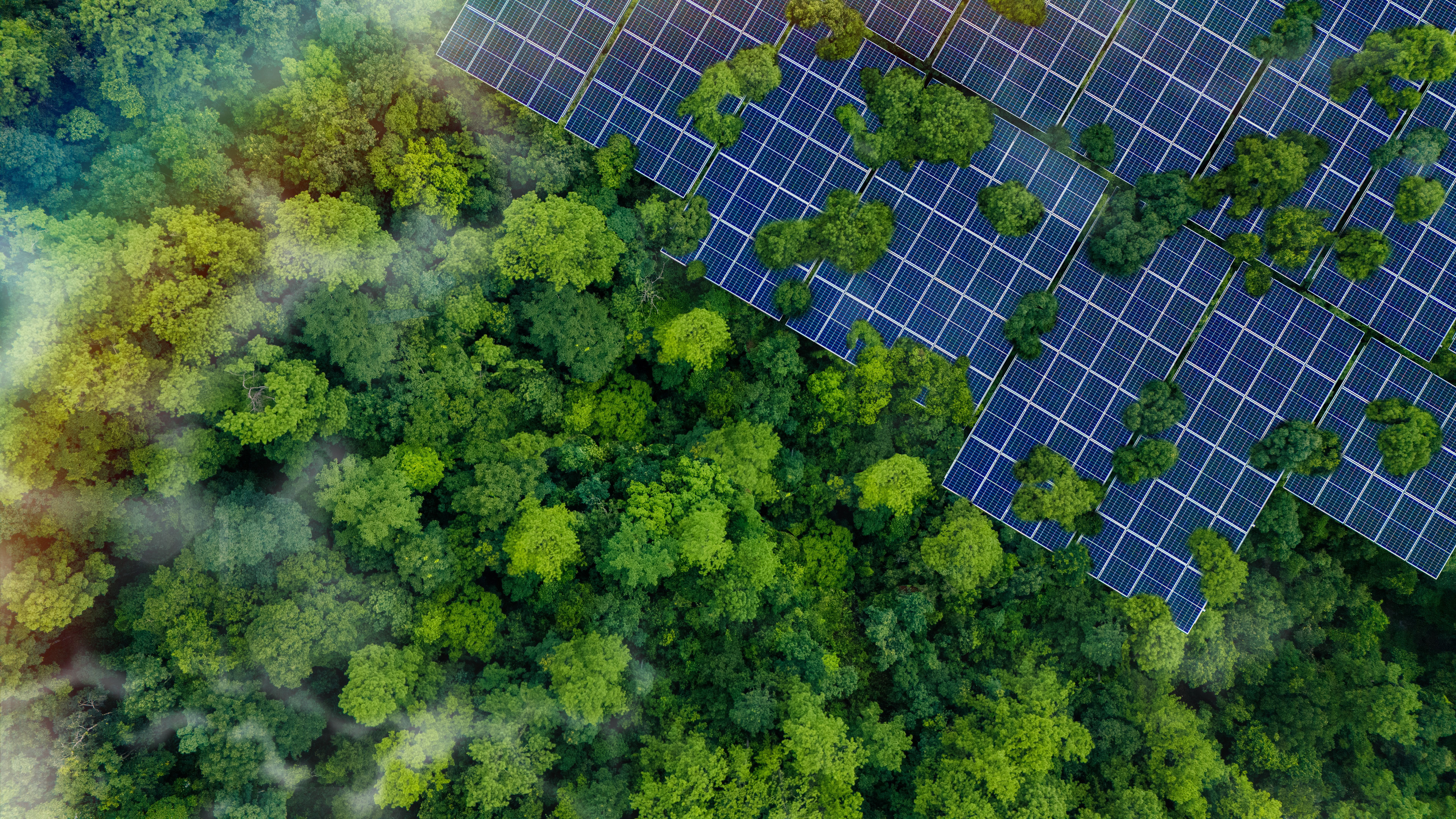 solar panels