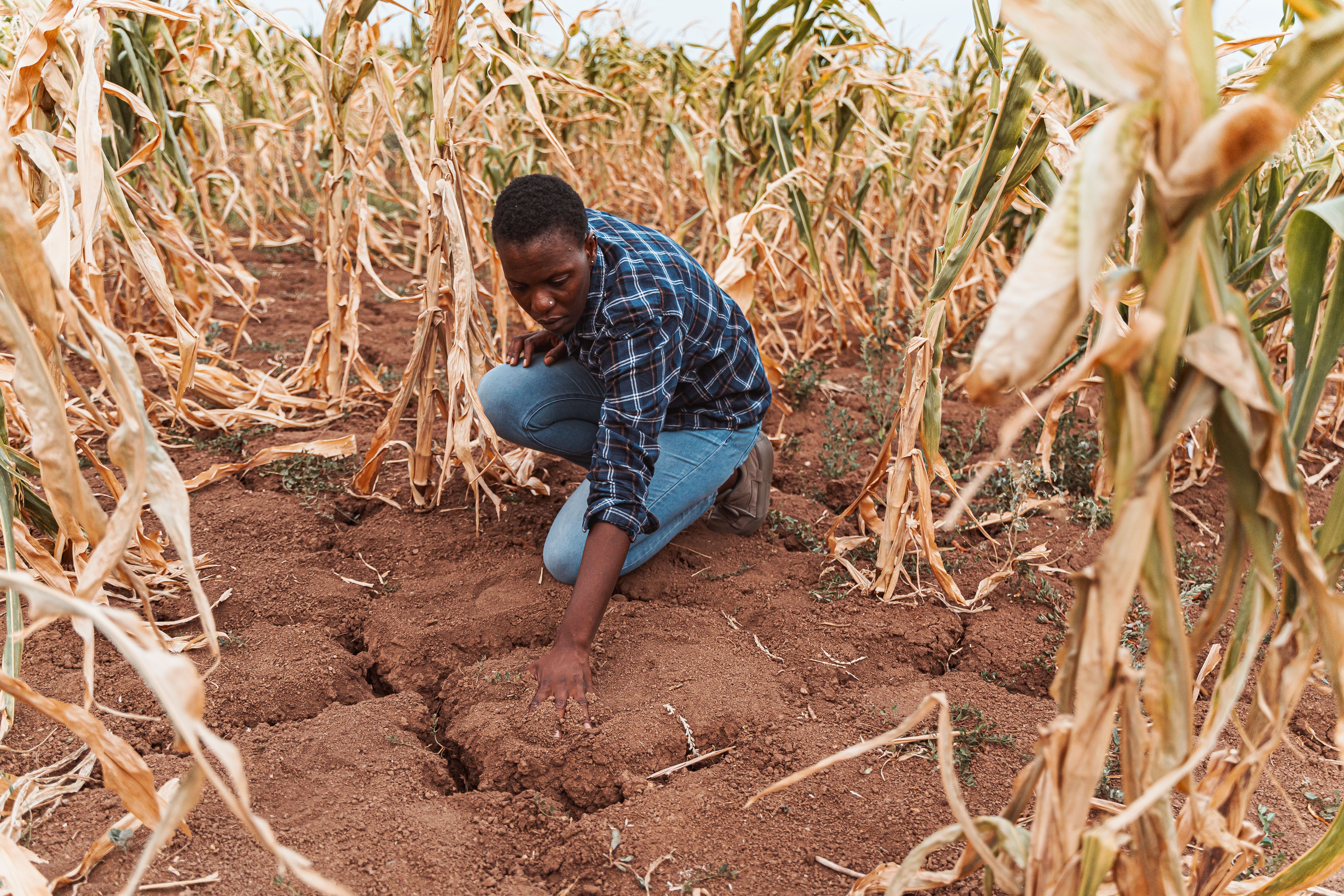environmental awareness desert