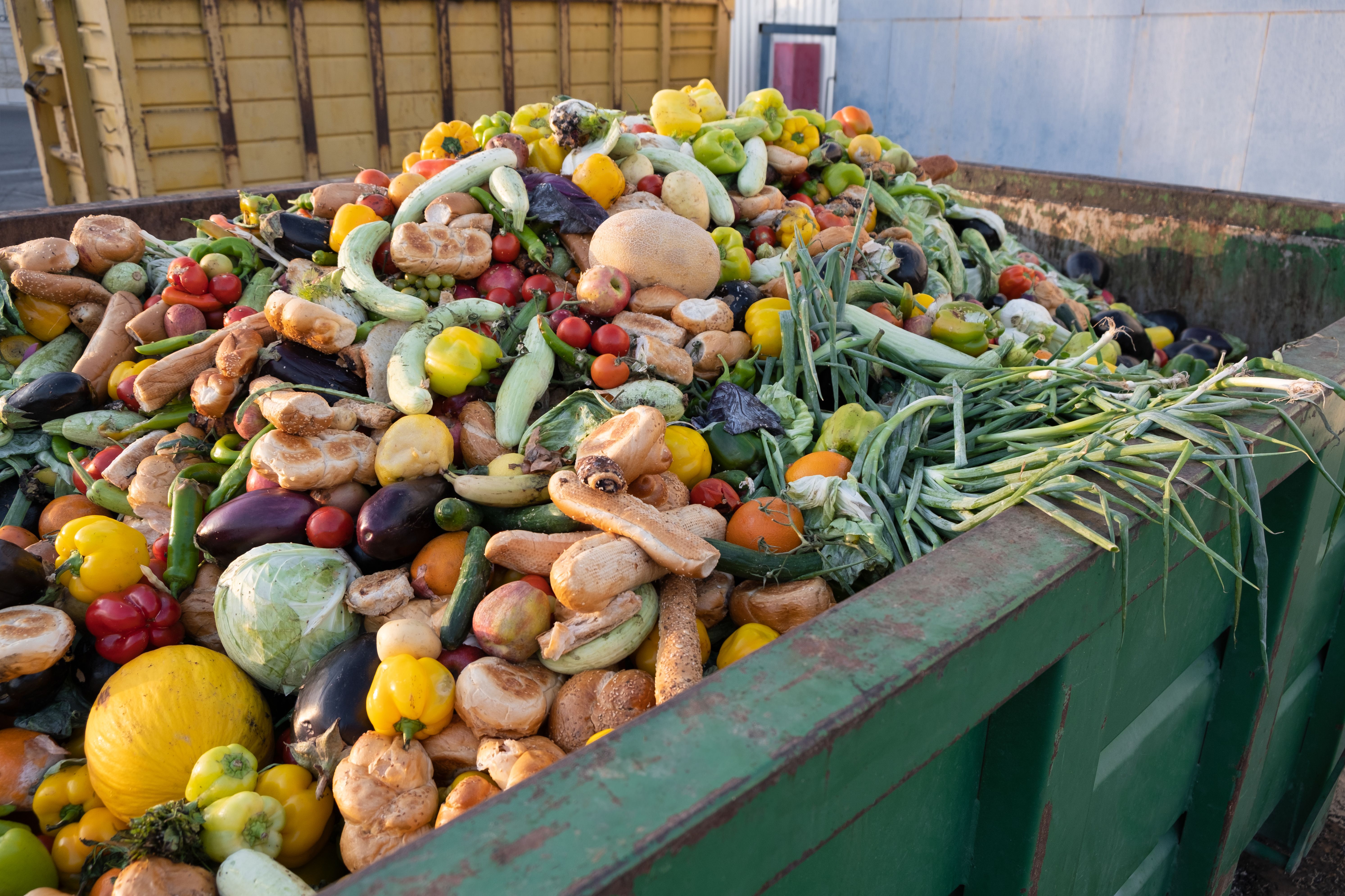 sustainable food
